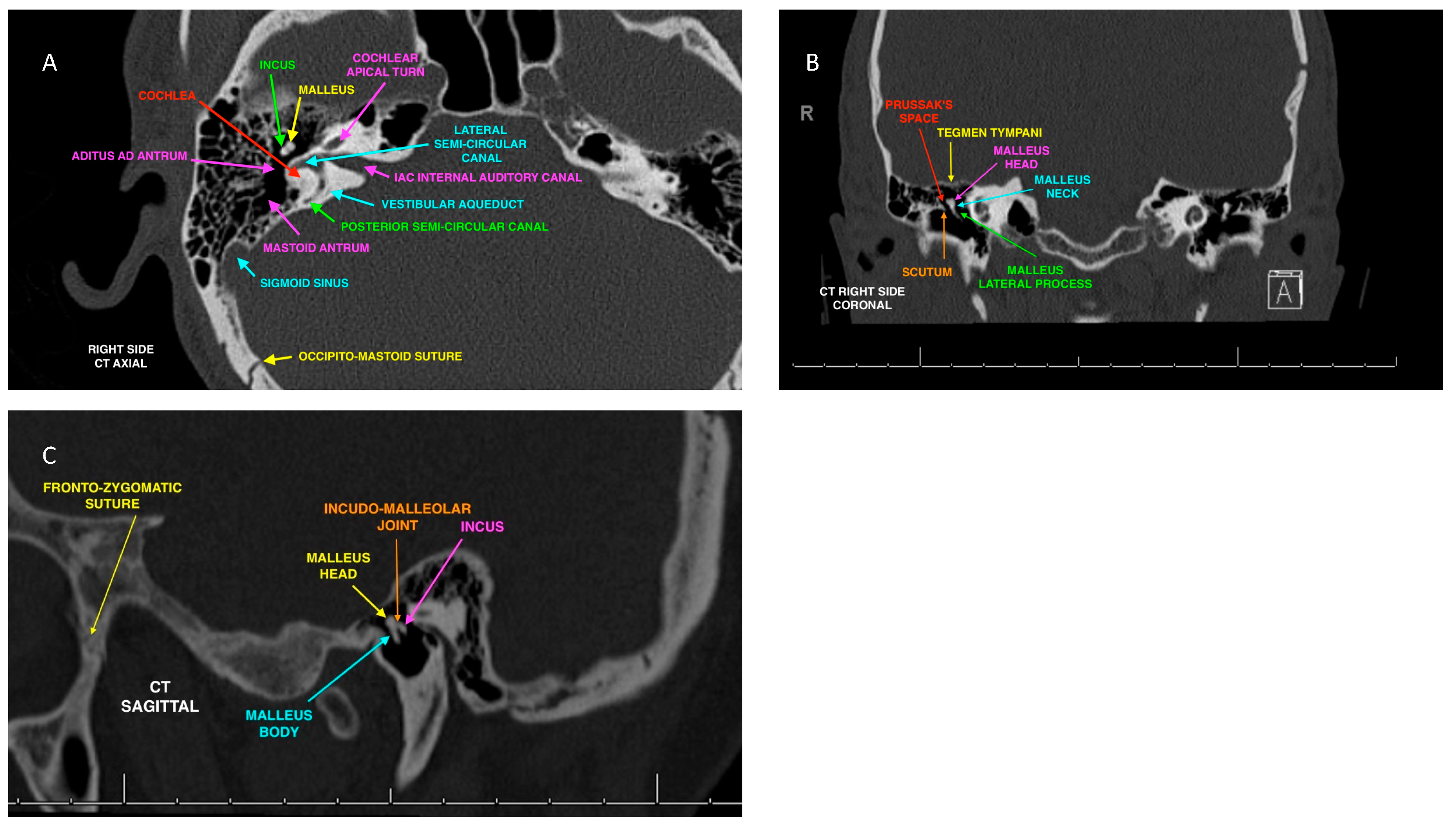 Forensicsci 03 00039 g002