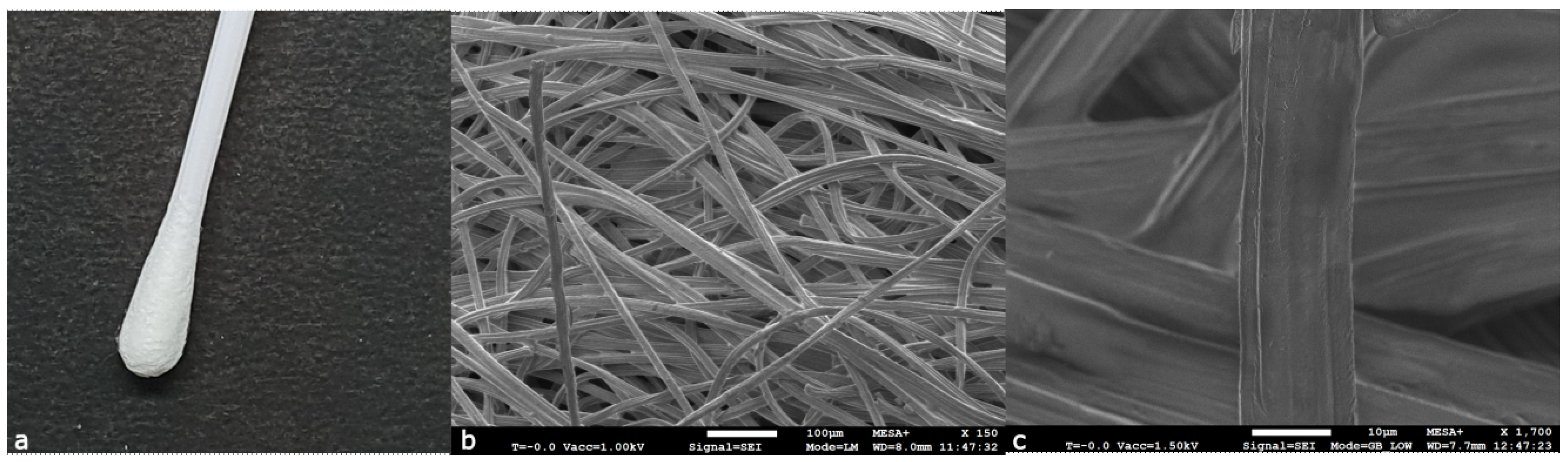 Forensicsci 04 00006 g003