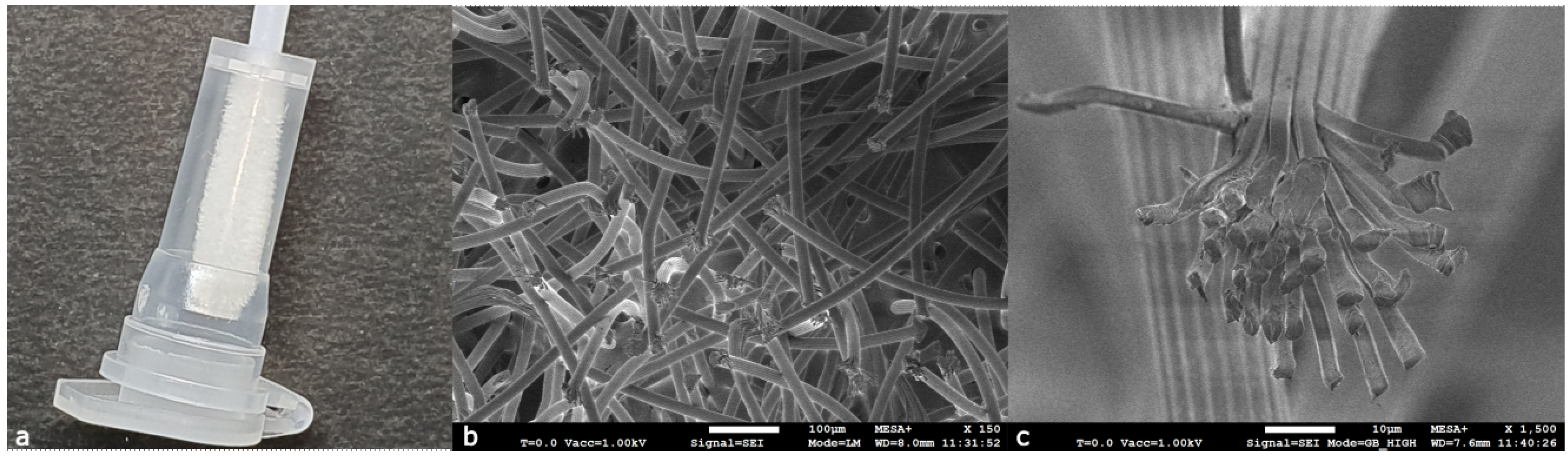 Forensicsci 04 00006 g004