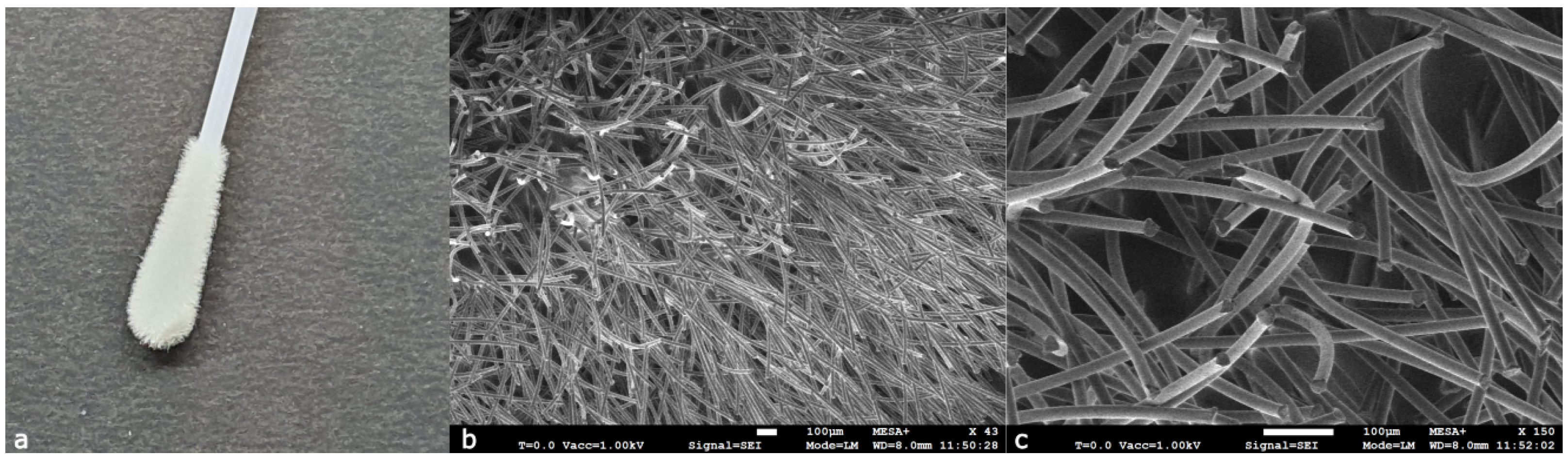 Forensicsci 04 00006 g005