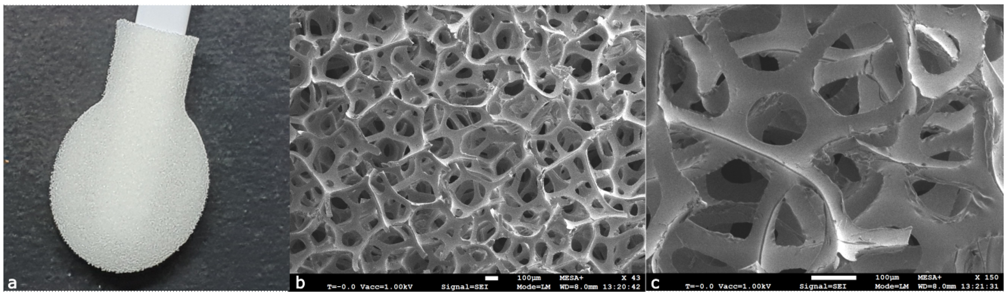 Forensicsci 04 00006 g006