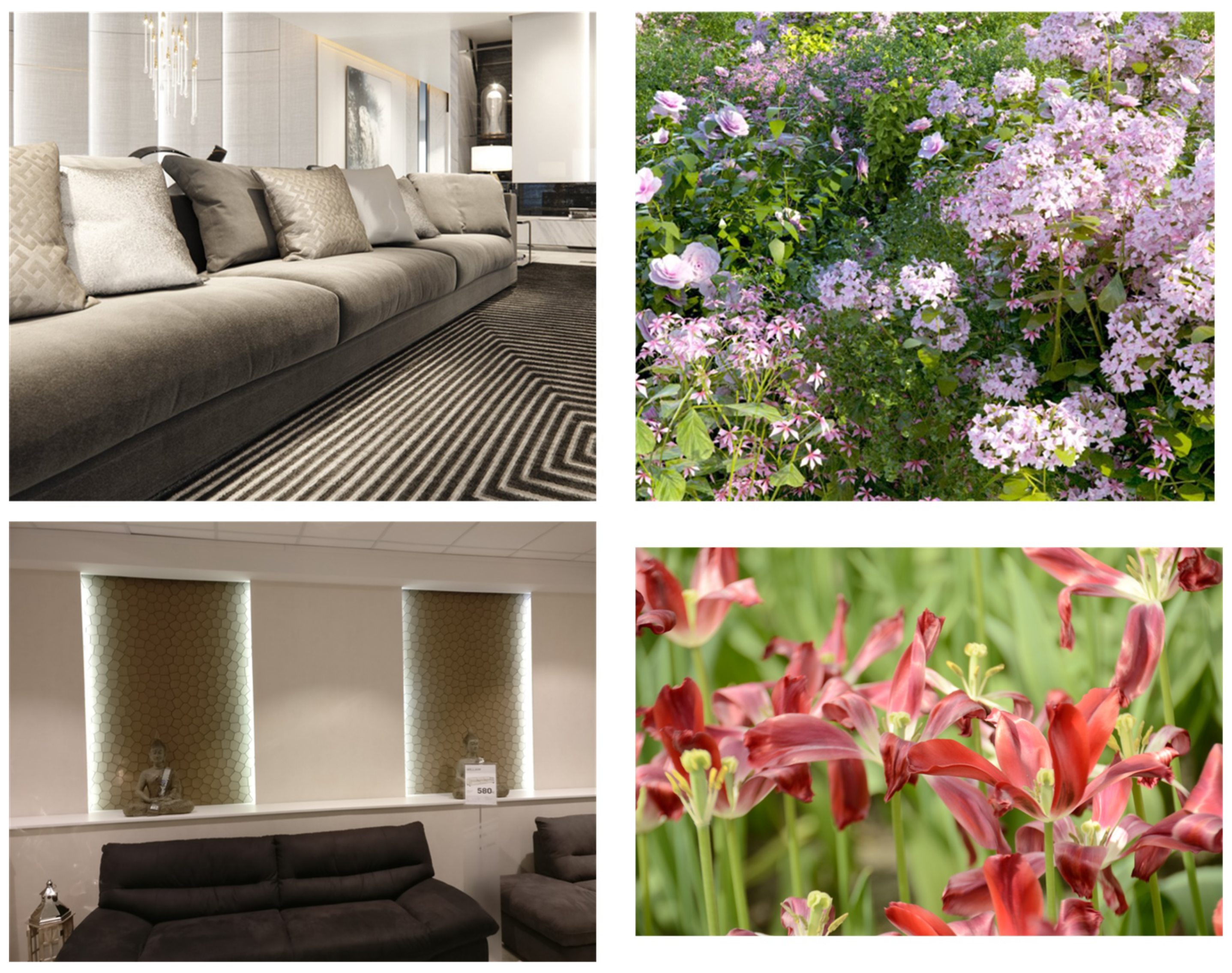 Forensicsci 04 00010 g001