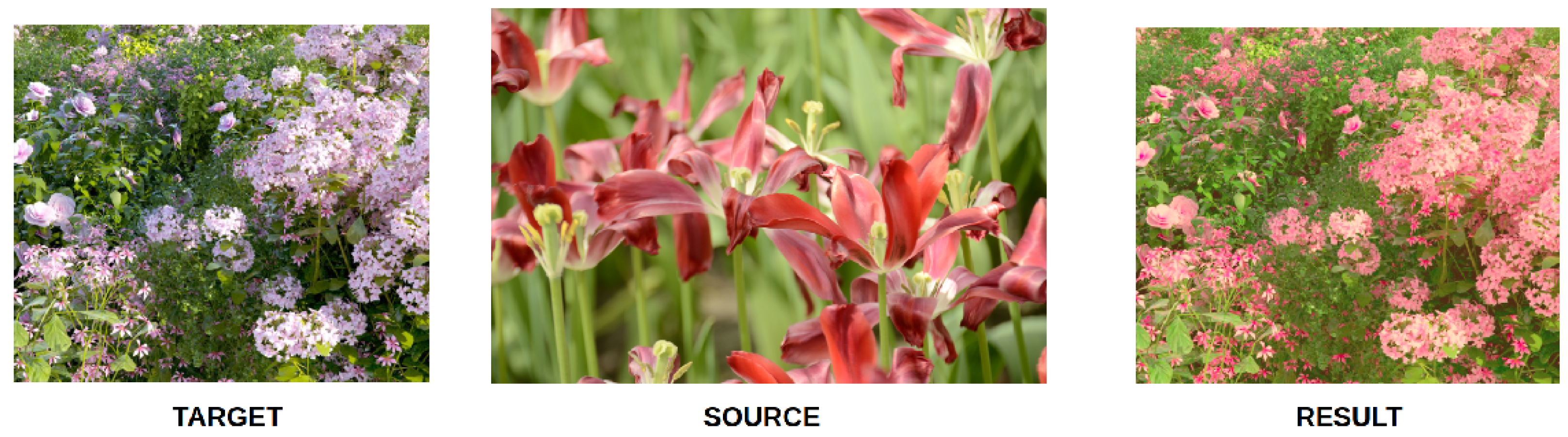 Forensicsci 04 00010 g004