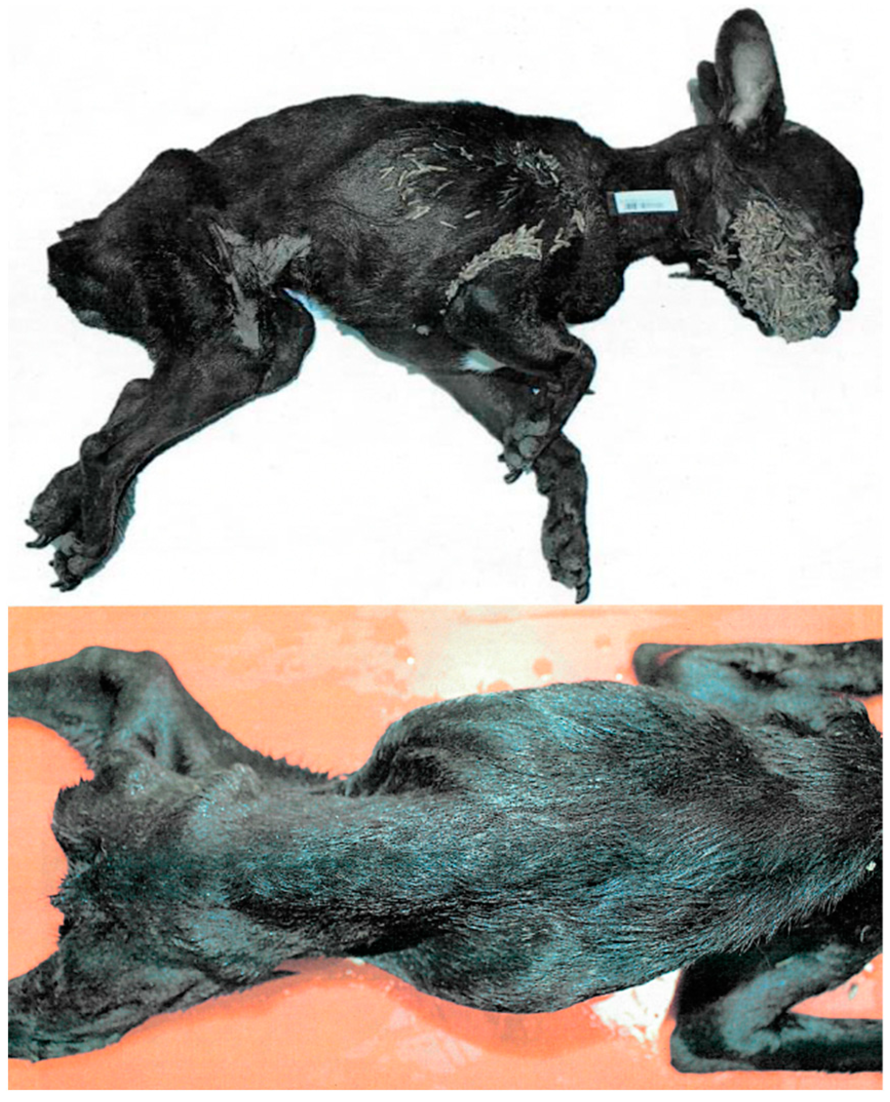 Forensicsci 04 00023 g001