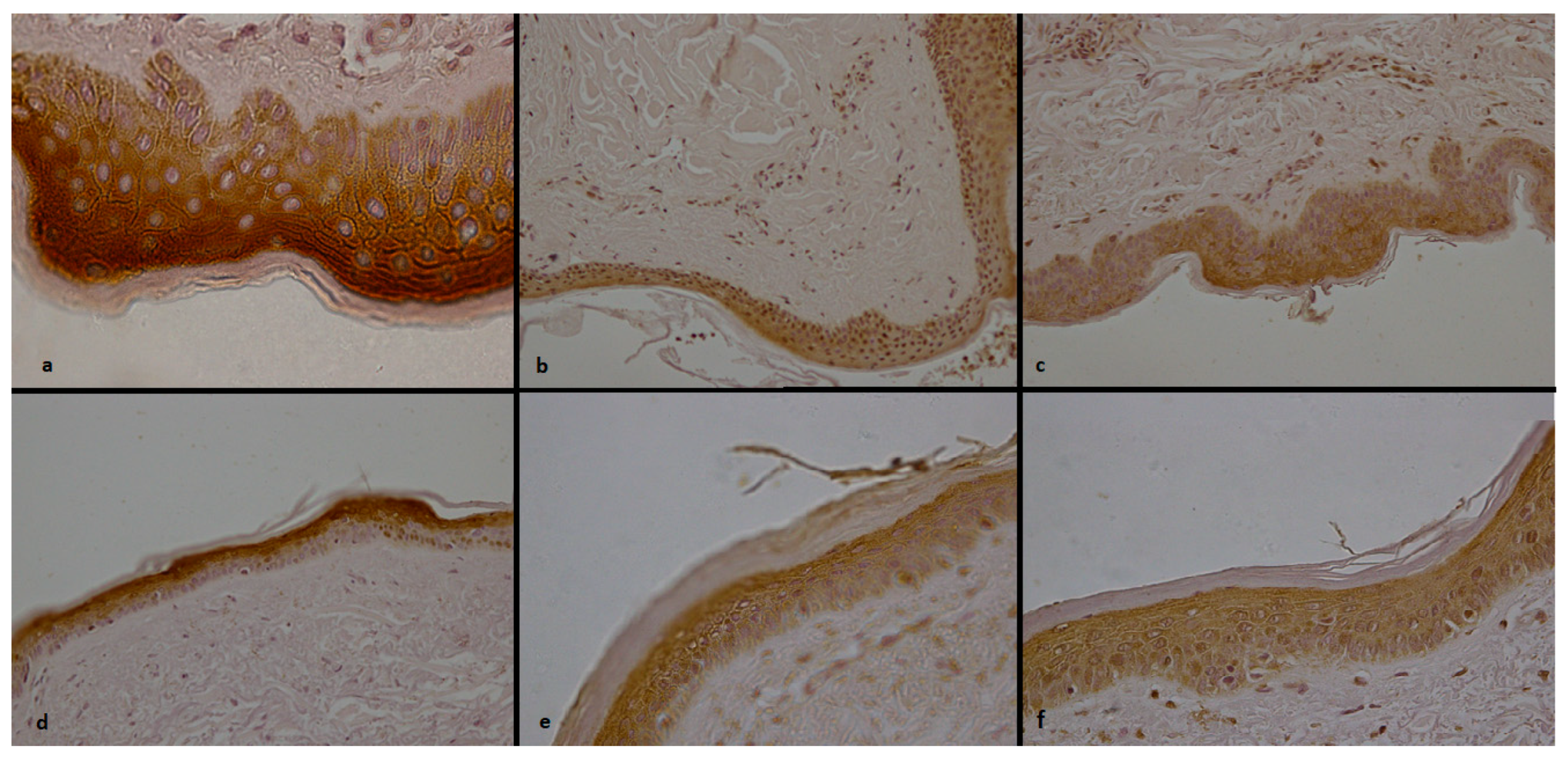Forensicsci 04 00026 g001