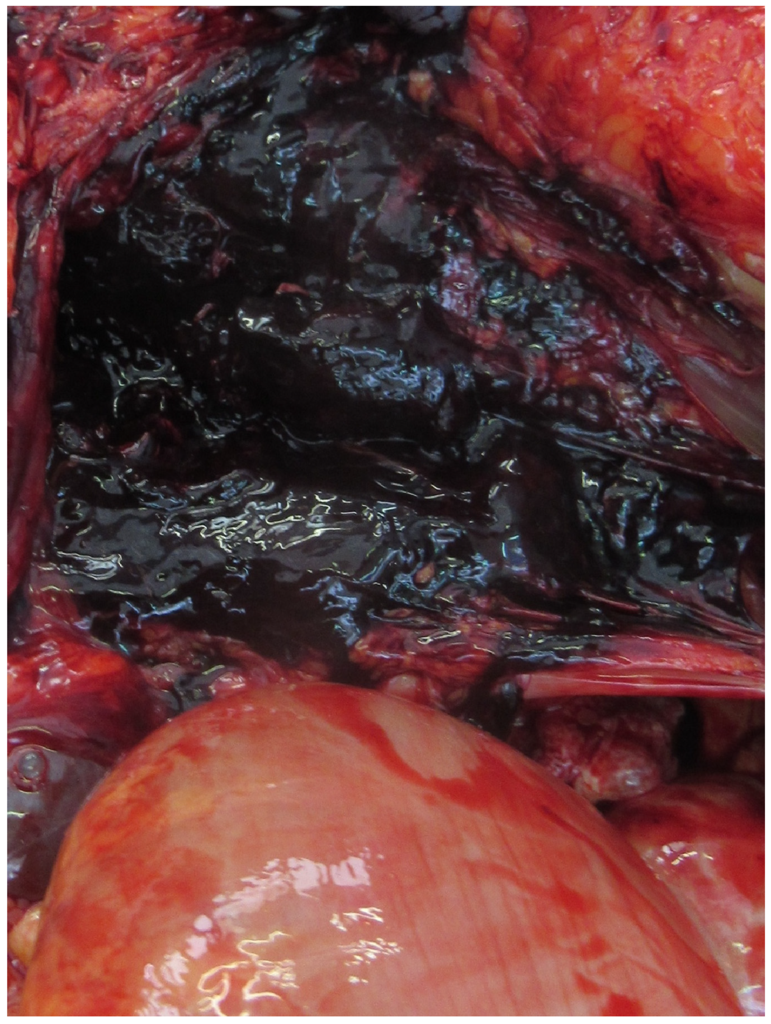 Forensicsci 04 00027 g002 Forensicsci 04 00027 g002