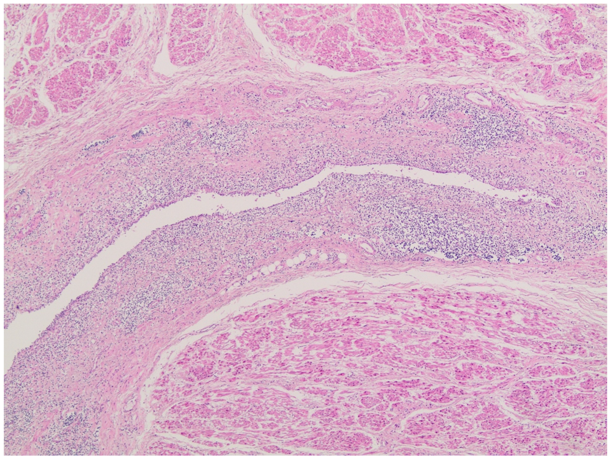 Forensicsci 04 00027 g003 Forensicsci 04 00027 g003