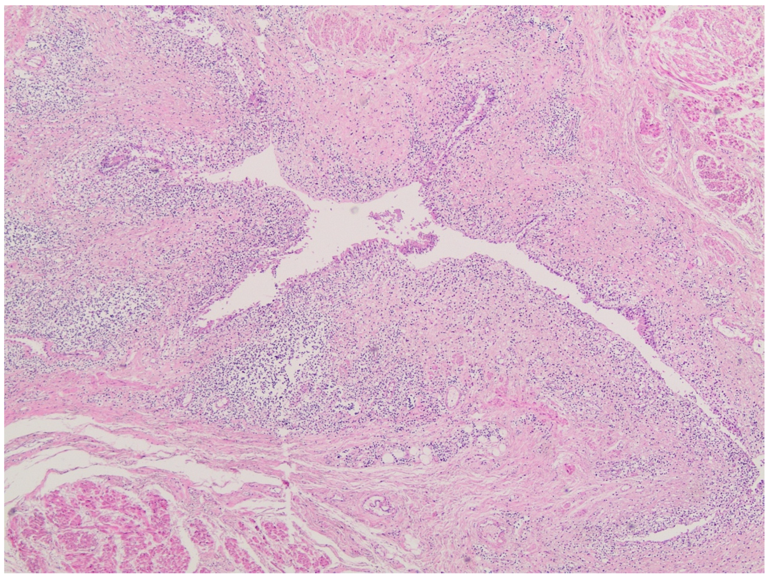 Forensicsci 04 00027 g004 Forensicsci 04 00027 g004