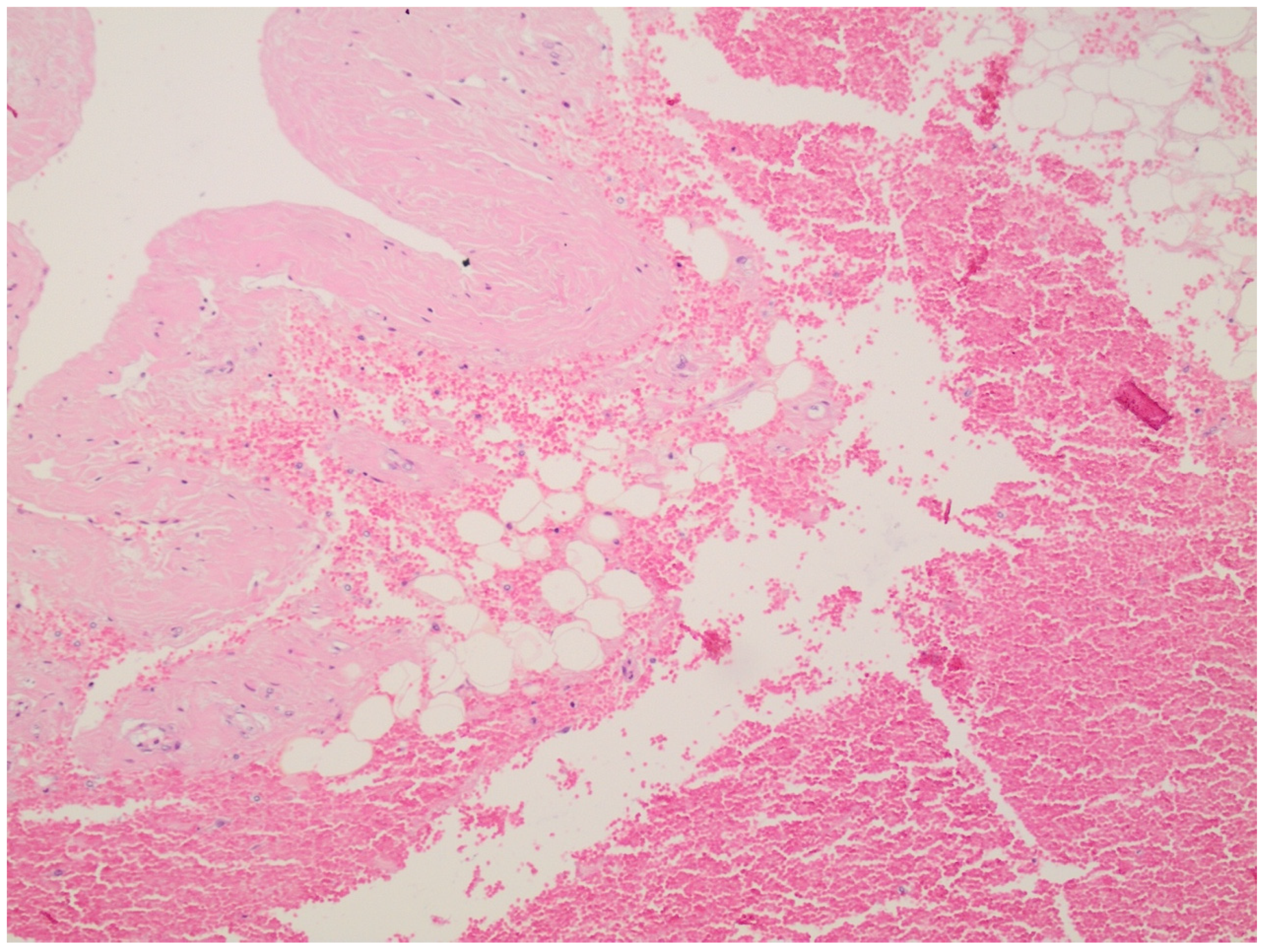 Forensicsci 04 00027 g005 Forensicsci 04 00027 g005