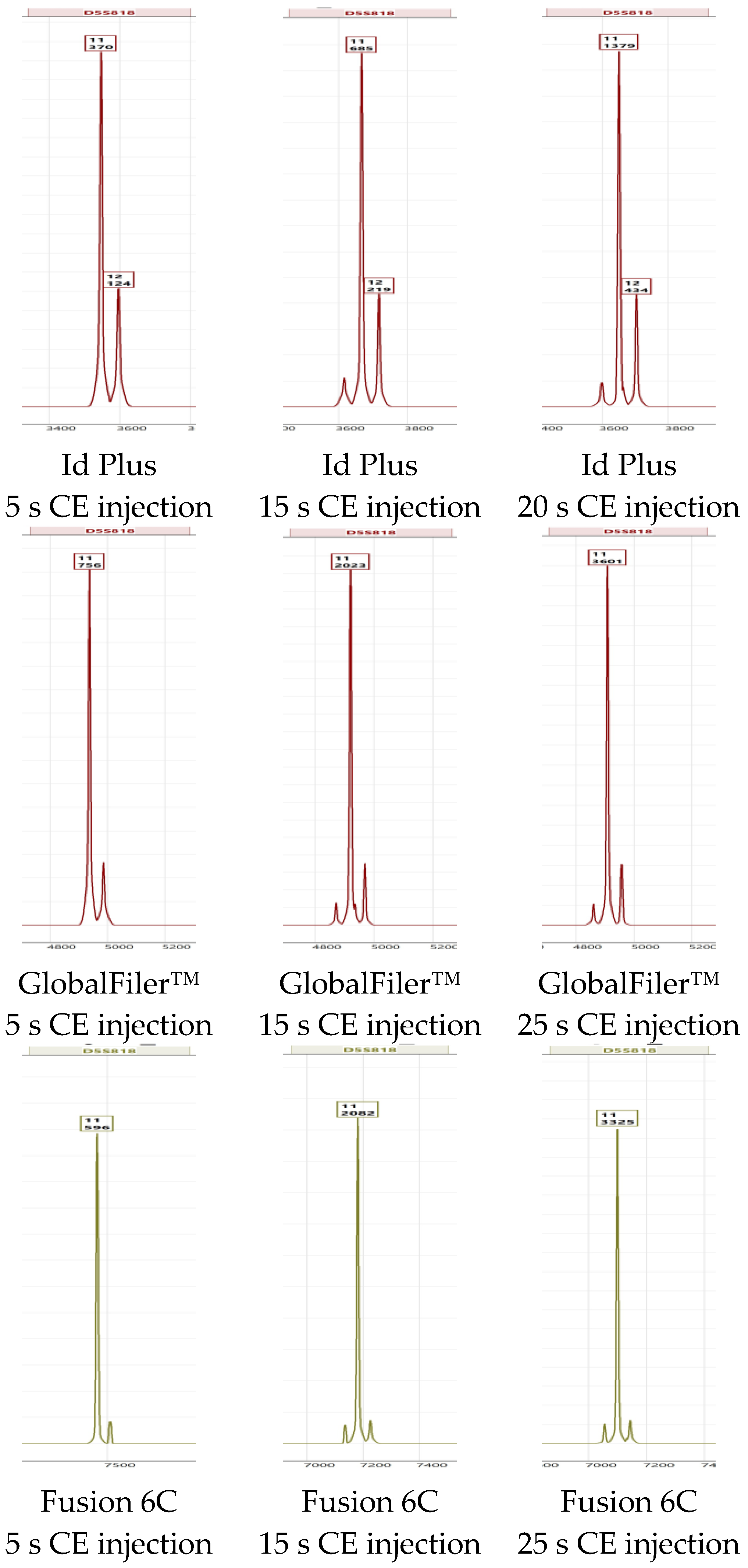 Forensicsci 04 00028 g004