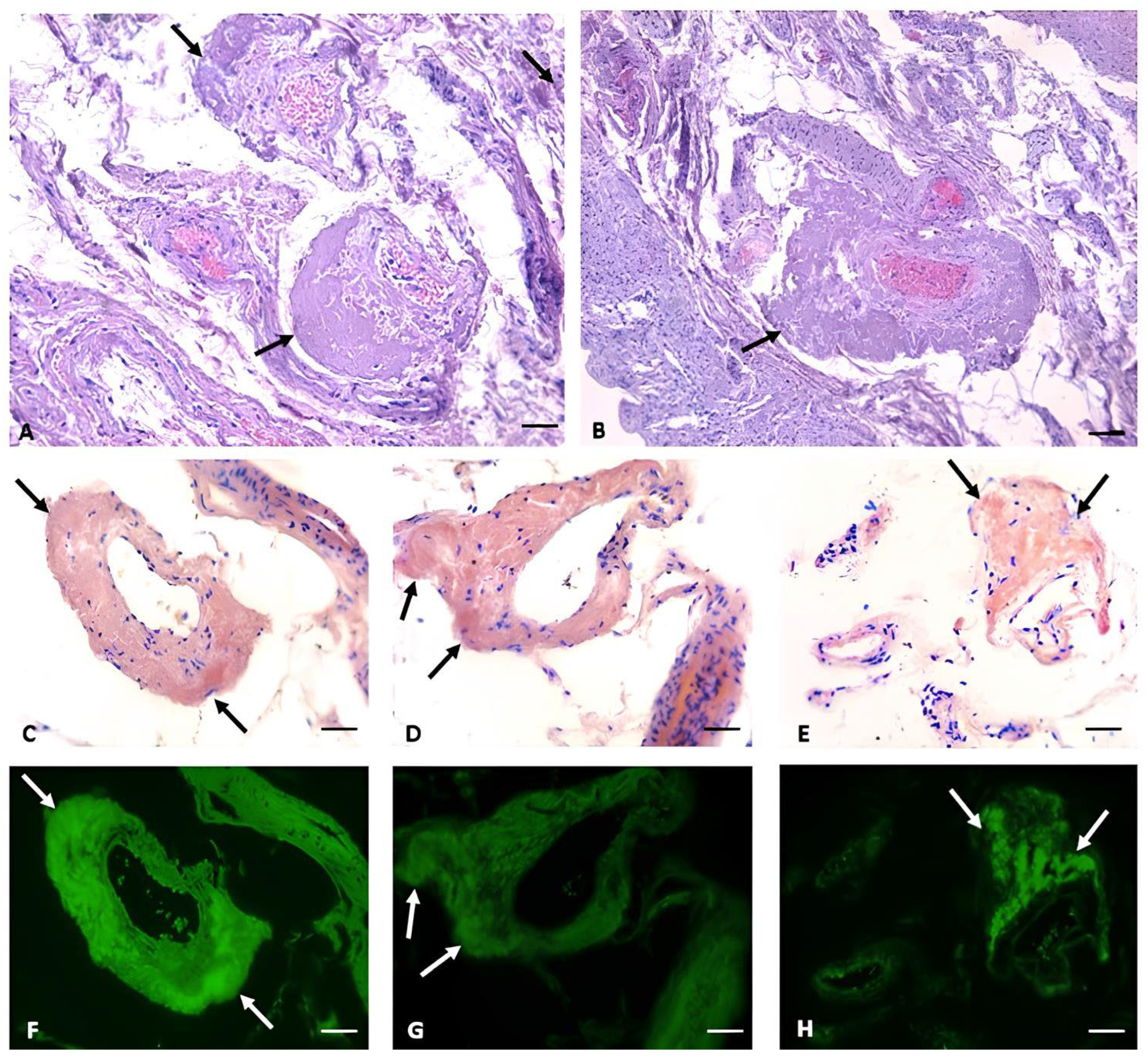 Forensicsci 04 00029 g001