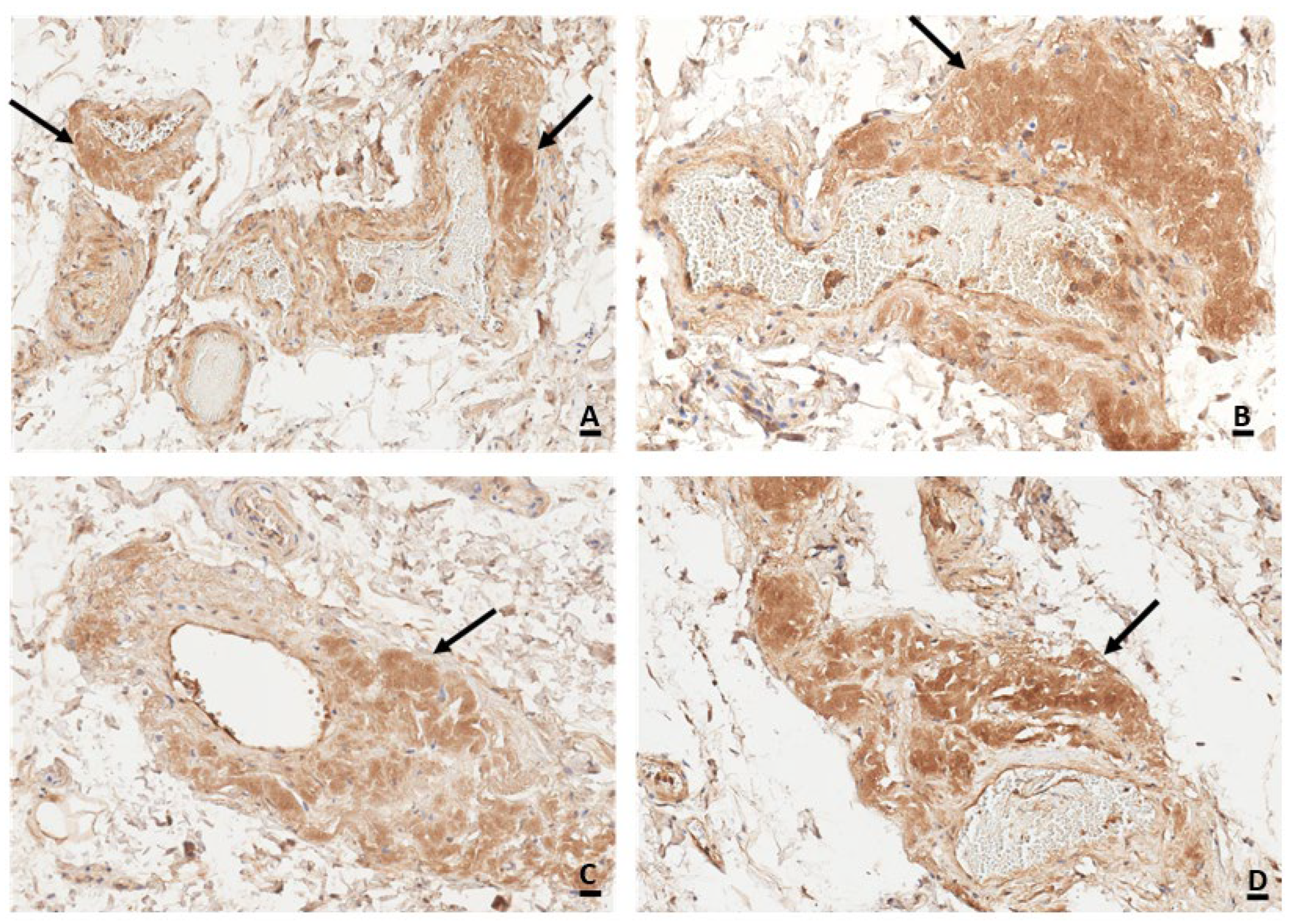 Forensicsci 04 00029 g002