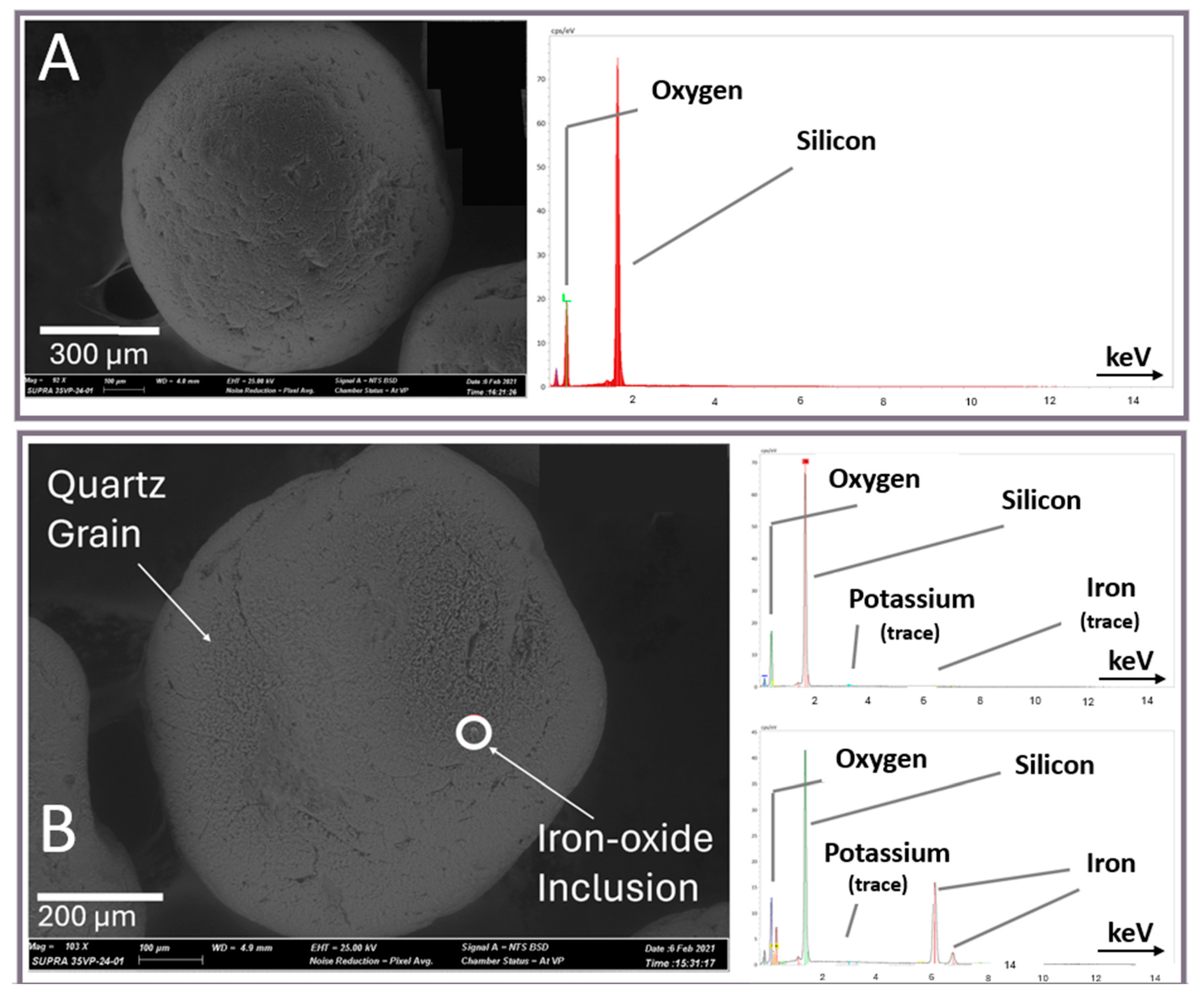 Forensicsci 04 00030 g003