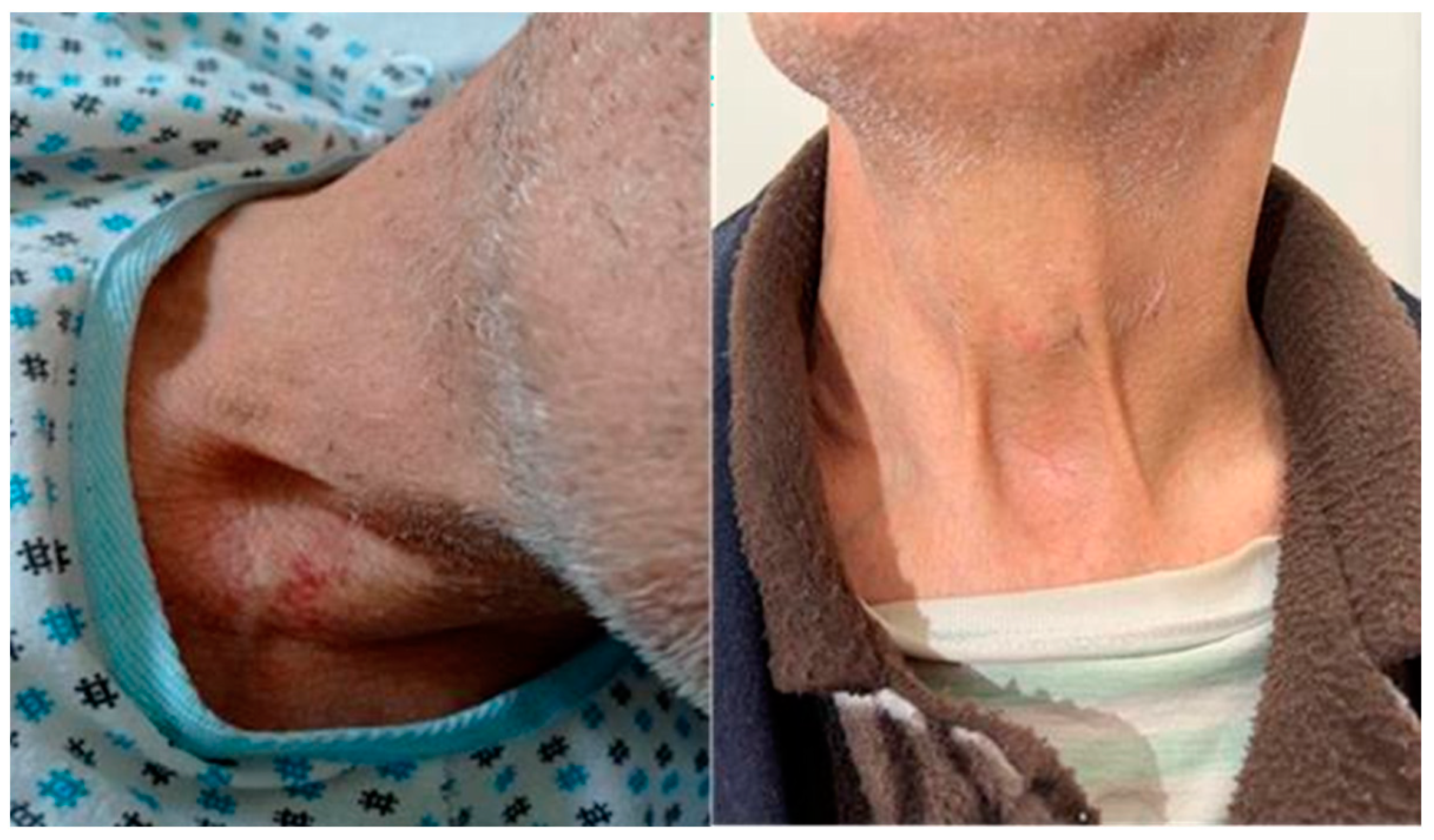 Forensicsci 04 00031 g002