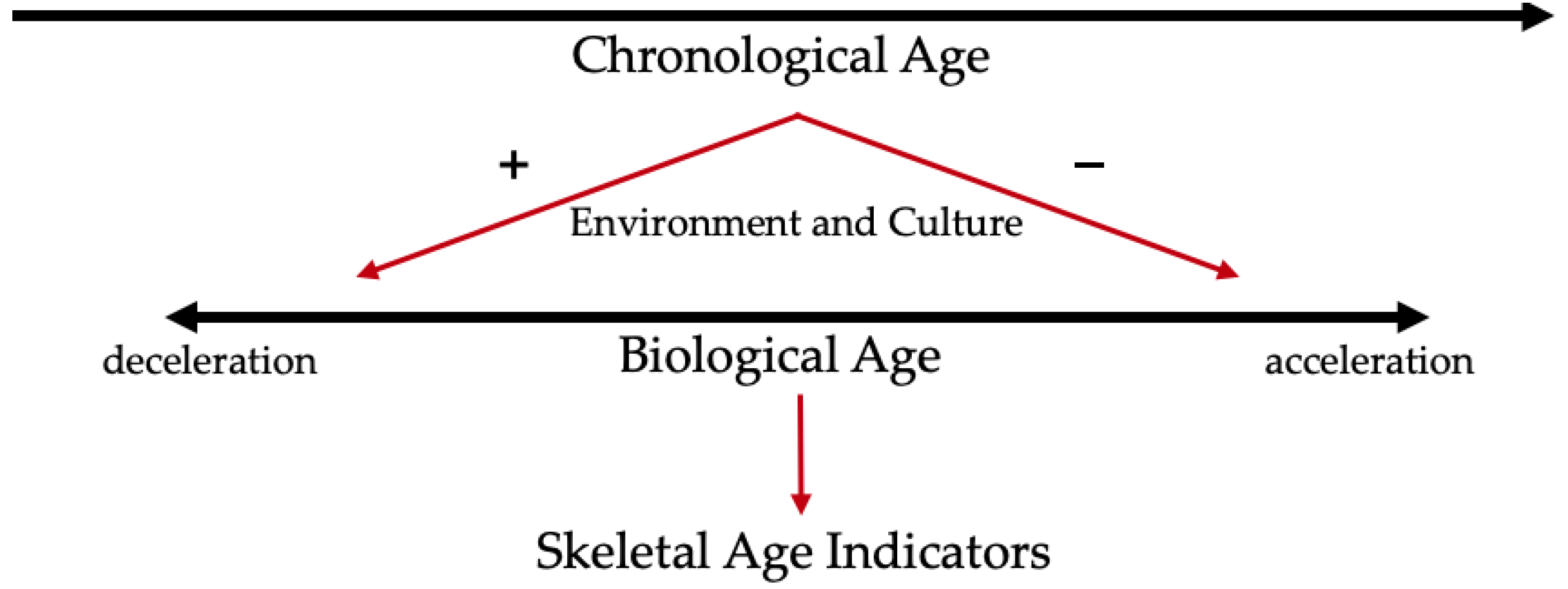 Forensicsci 04 00034 g001