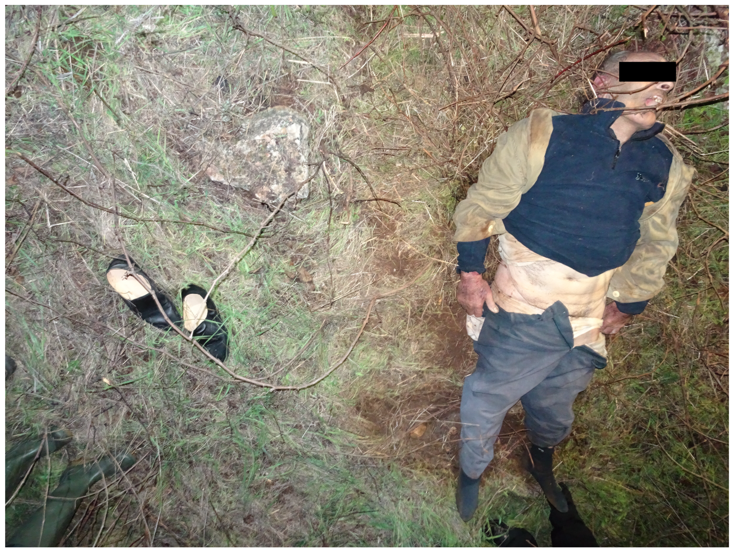 Forensicsci 04 00037 g001