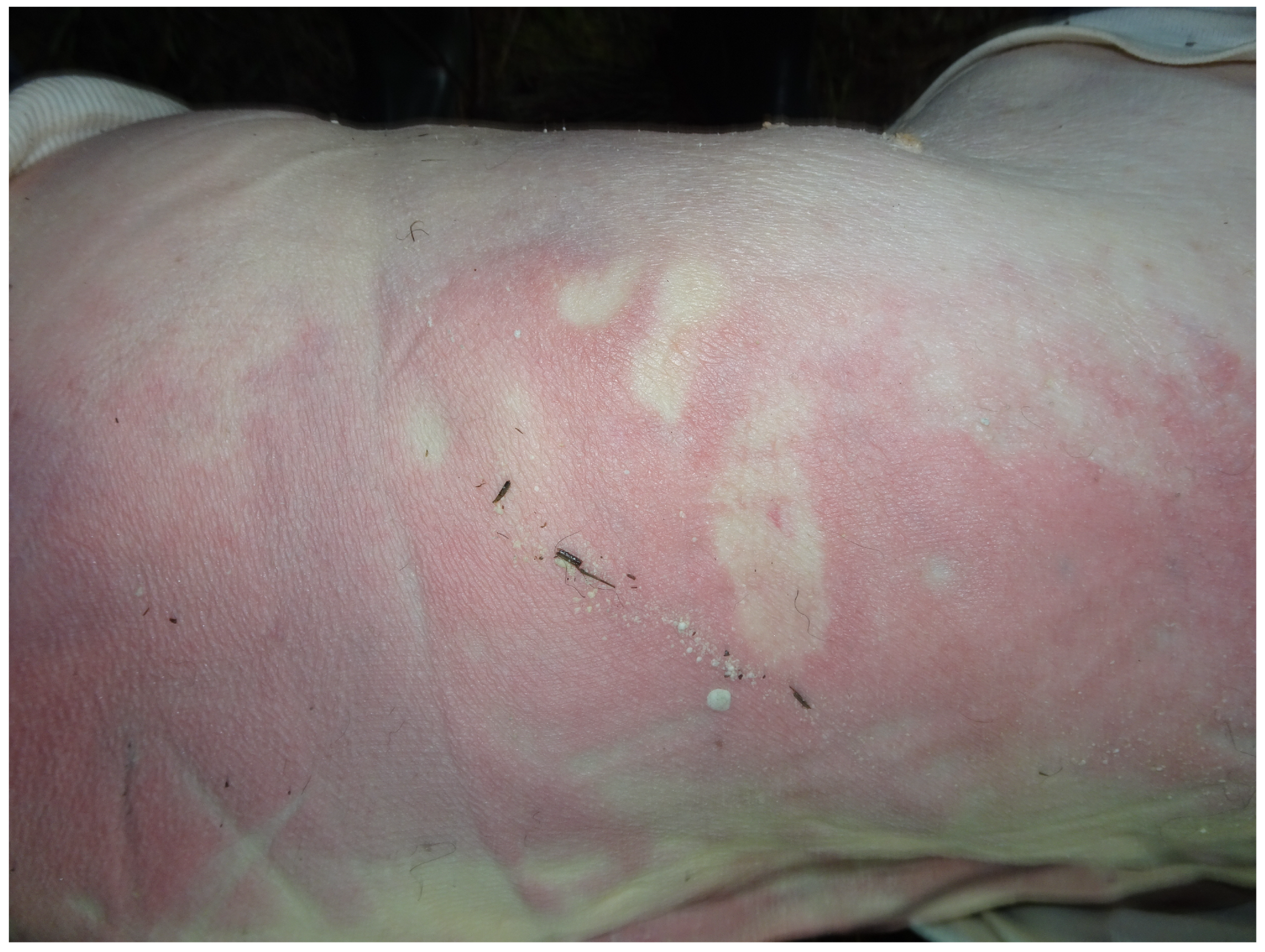 Forensicsci 04 00037 g002