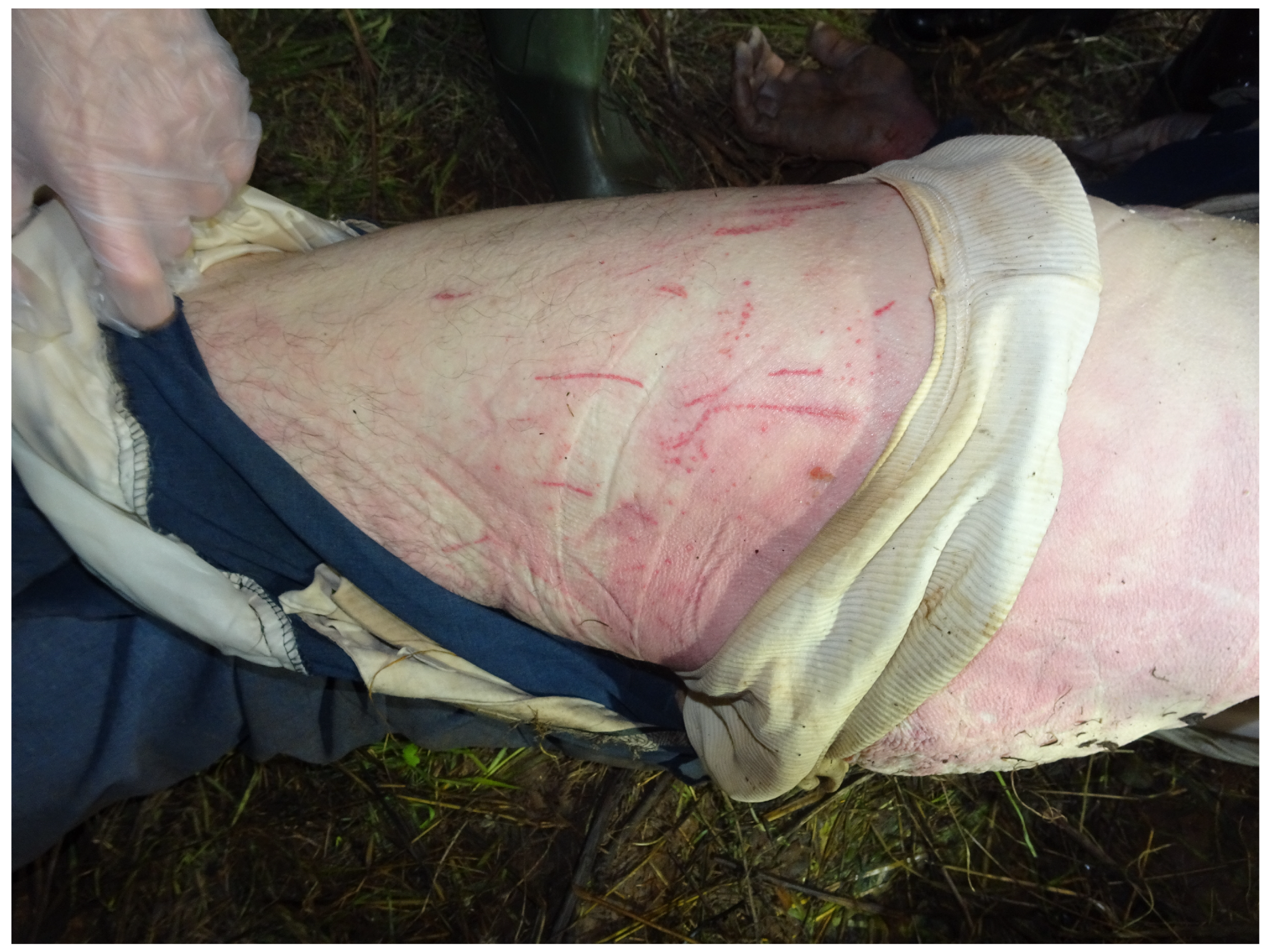 Forensicsci 04 00037 g003