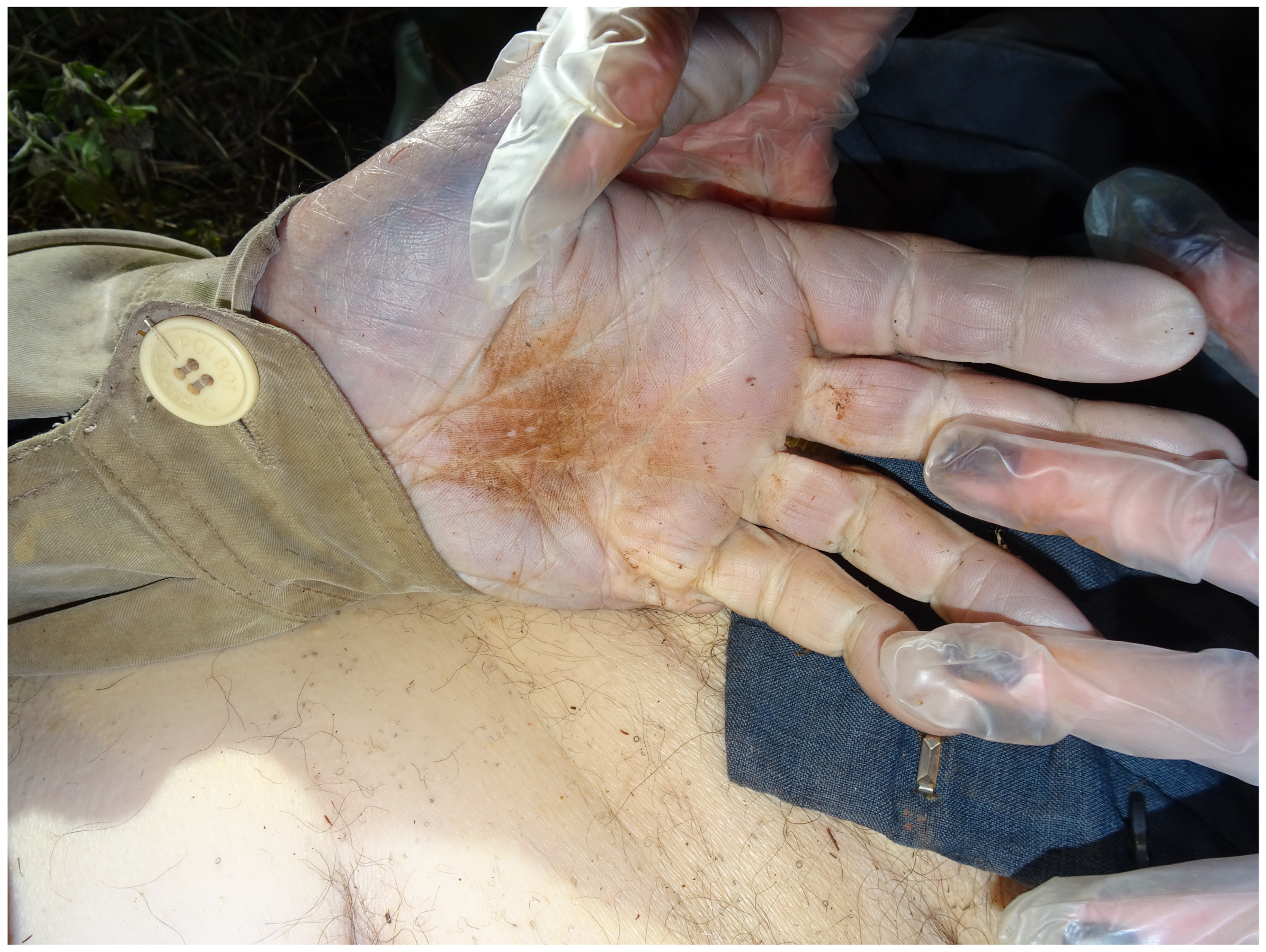 Forensicsci 04 00037 g004