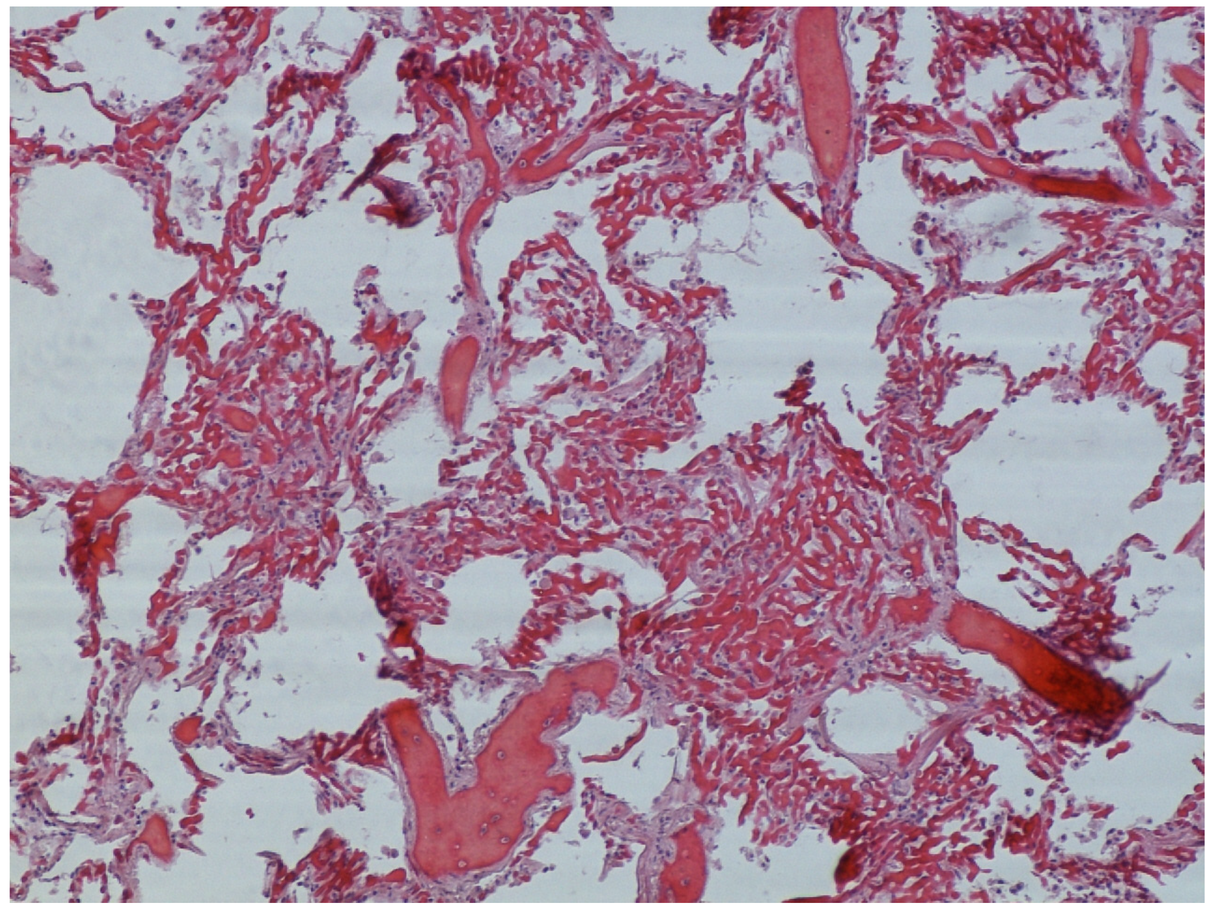 Forensicsci 04 00037 g007