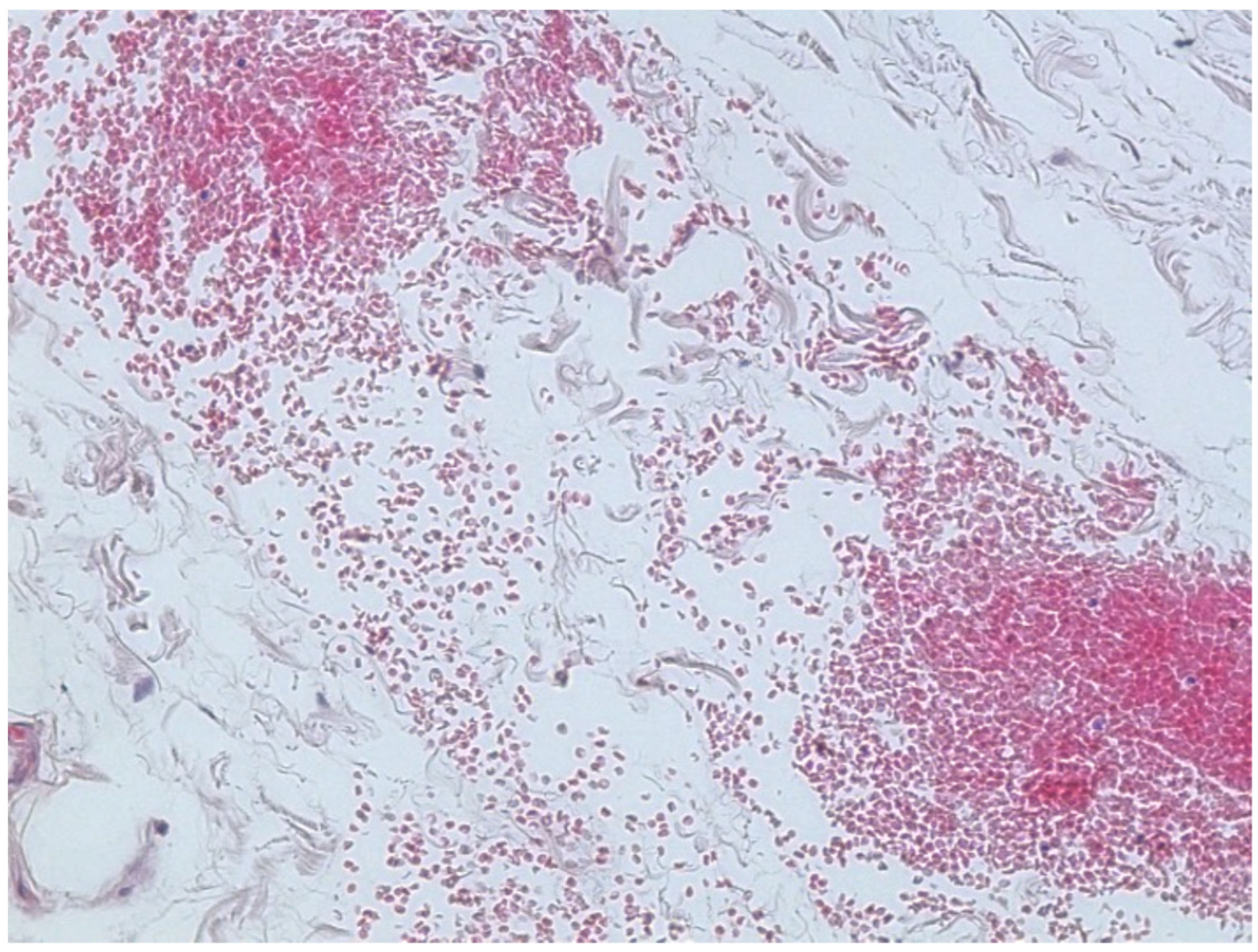 Forensicsci 04 00037 g011