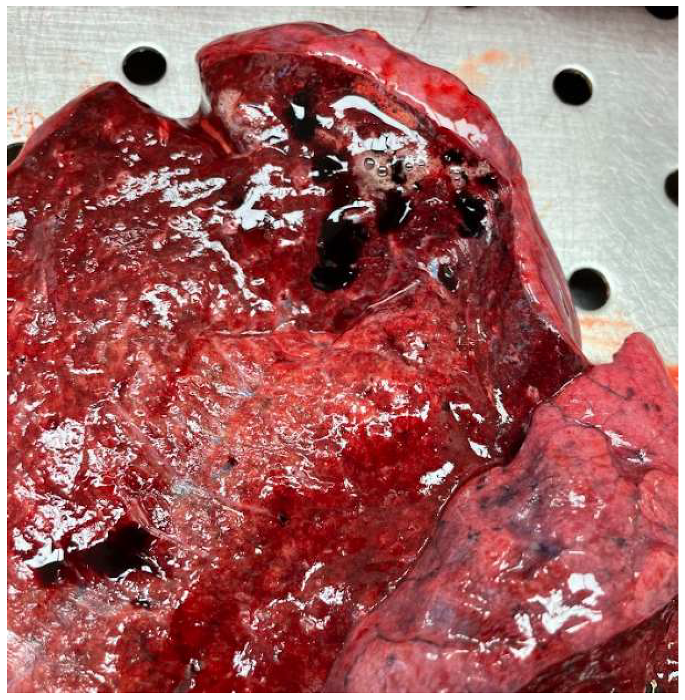 Forensicsci 05 00001 g005