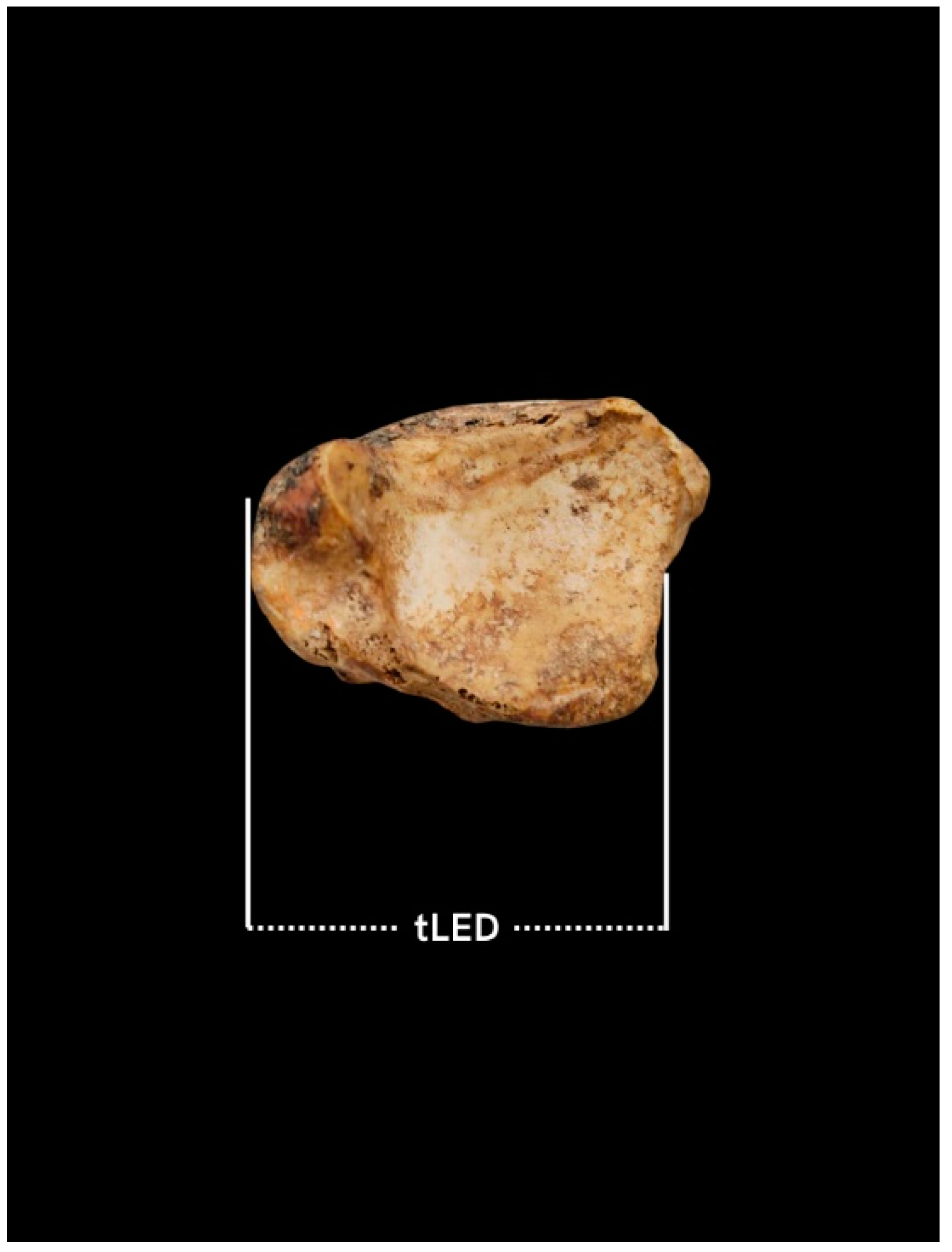 Forensicsci 05 00002 g002