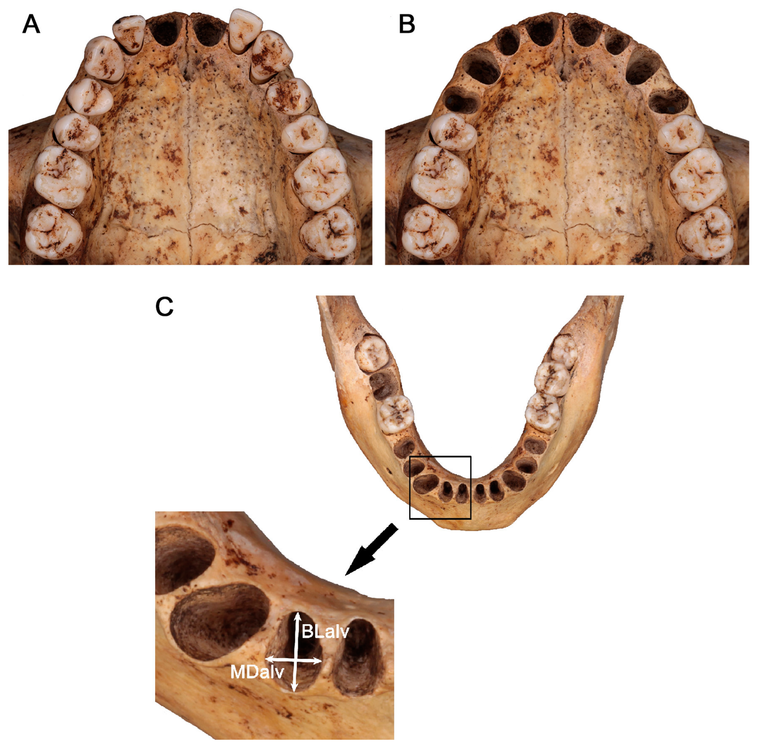 Forensicsci 05 00004 g001 Forensicsci 05 00004 g001