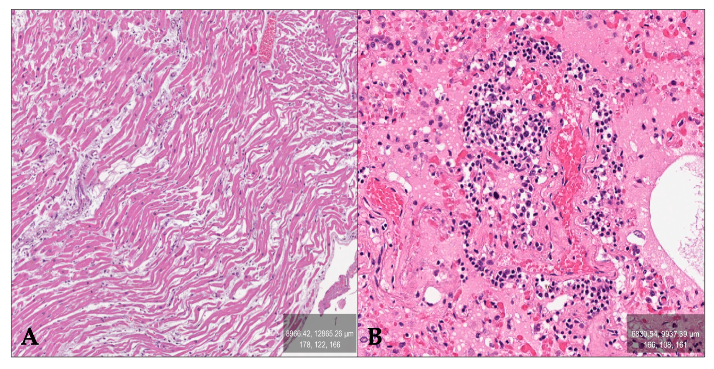 Forensicsci 05 00007 g001