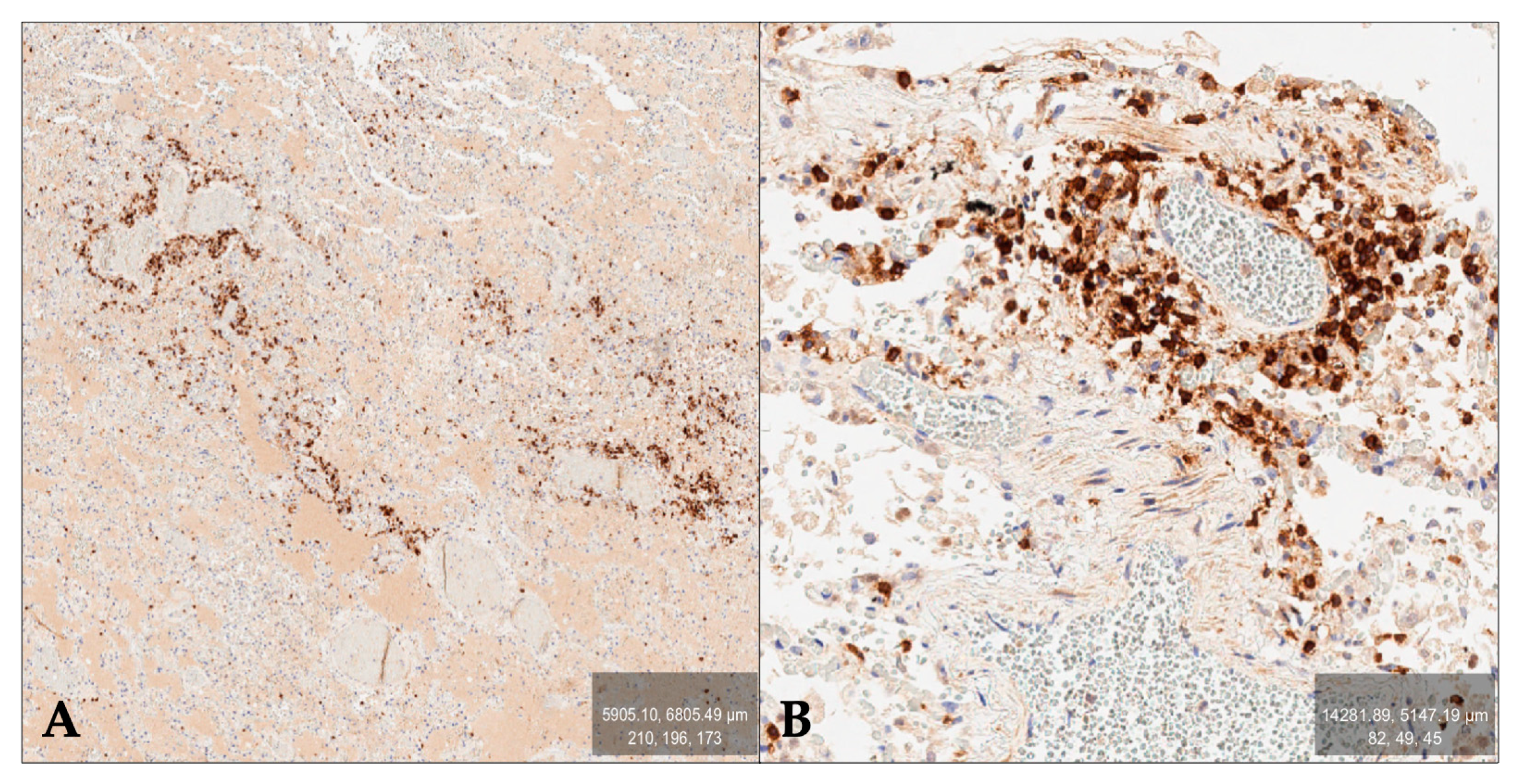 Forensicsci 05 00007 g002