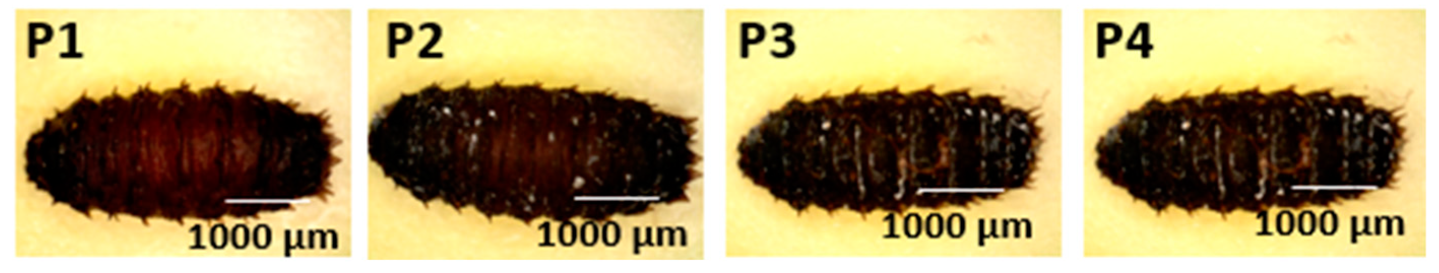 Forensicsci 05 00010 g003