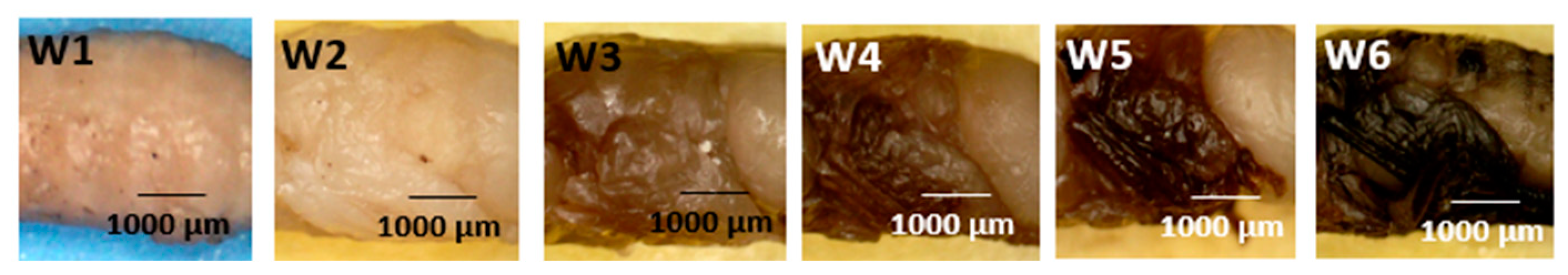 Forensicsci 05 00010 g007