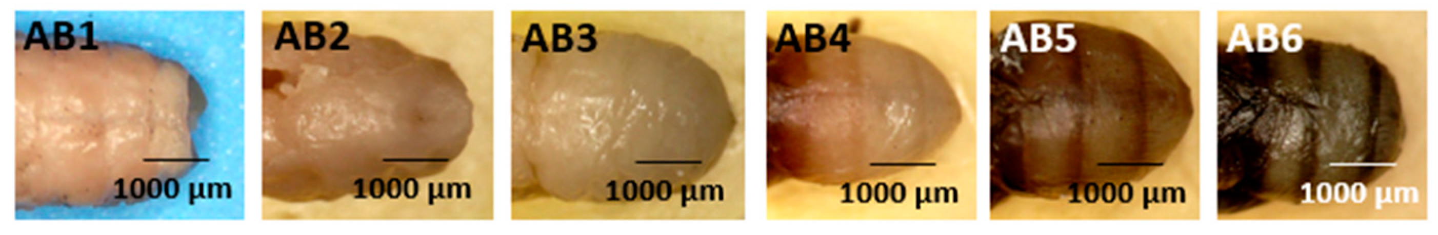 Forensicsci 05 00010 g009
