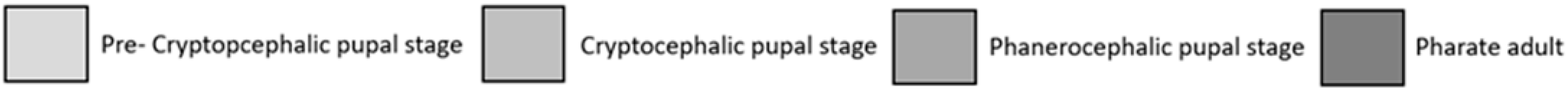 Forensicsci 05 00010 i001