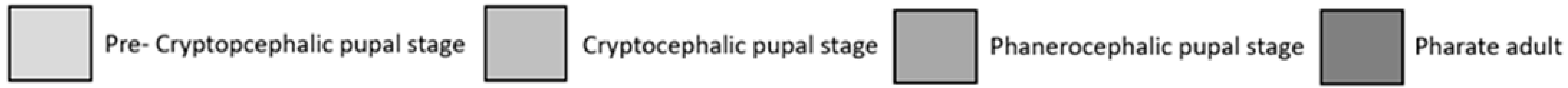 Forensicsci 05 00010 i002