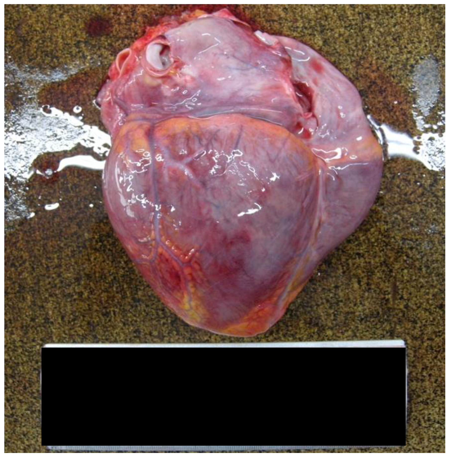 Forensicsci 05 00011 g001