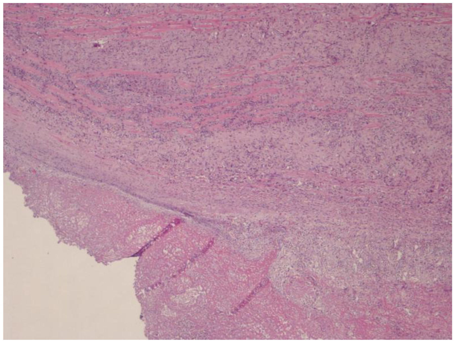 Forensicsci 05 00011 g005