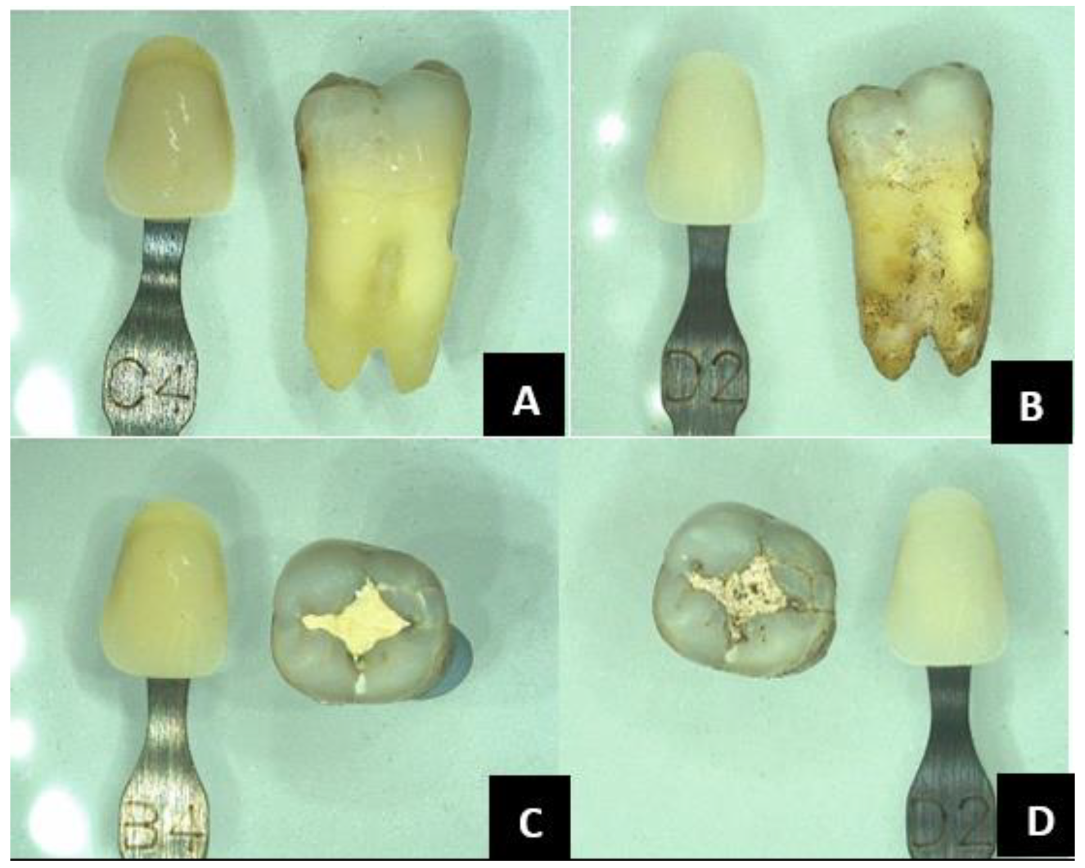 Forensicsci 05 00012 g005 Forensicsci 05 00012 g005