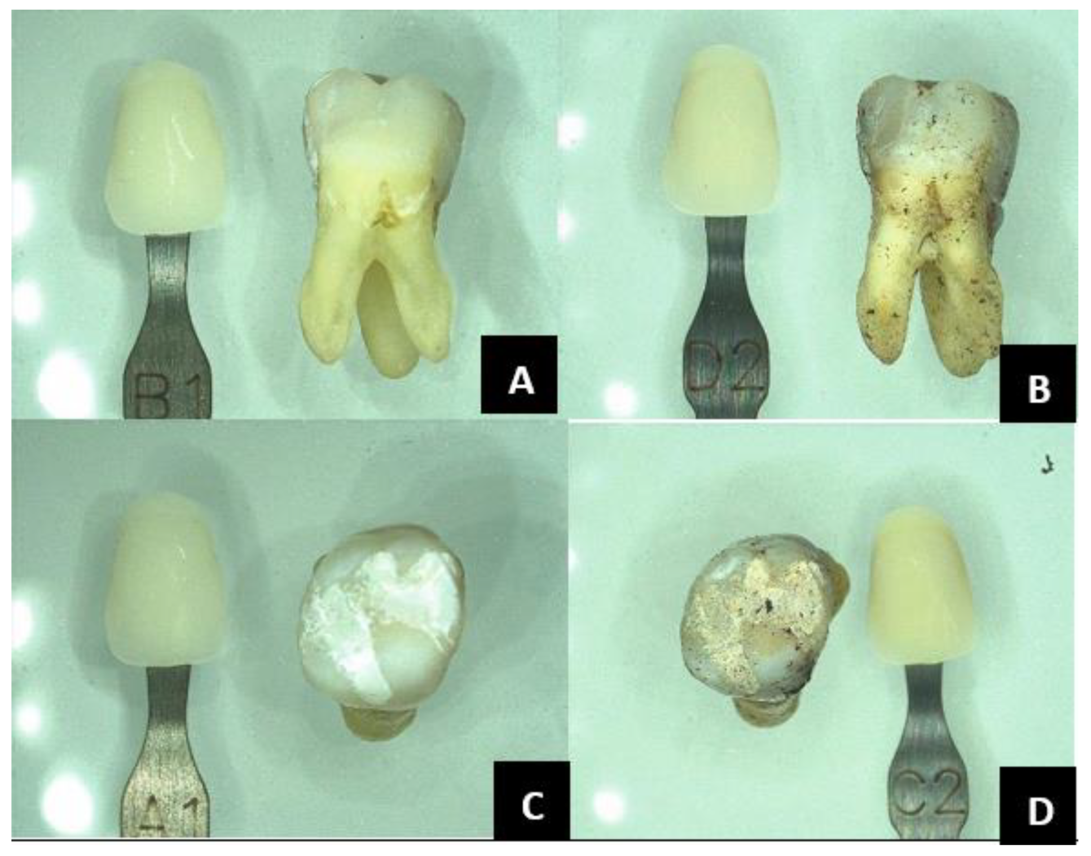 Forensicsci 05 00012 g006 Forensicsci 05 00012 g006