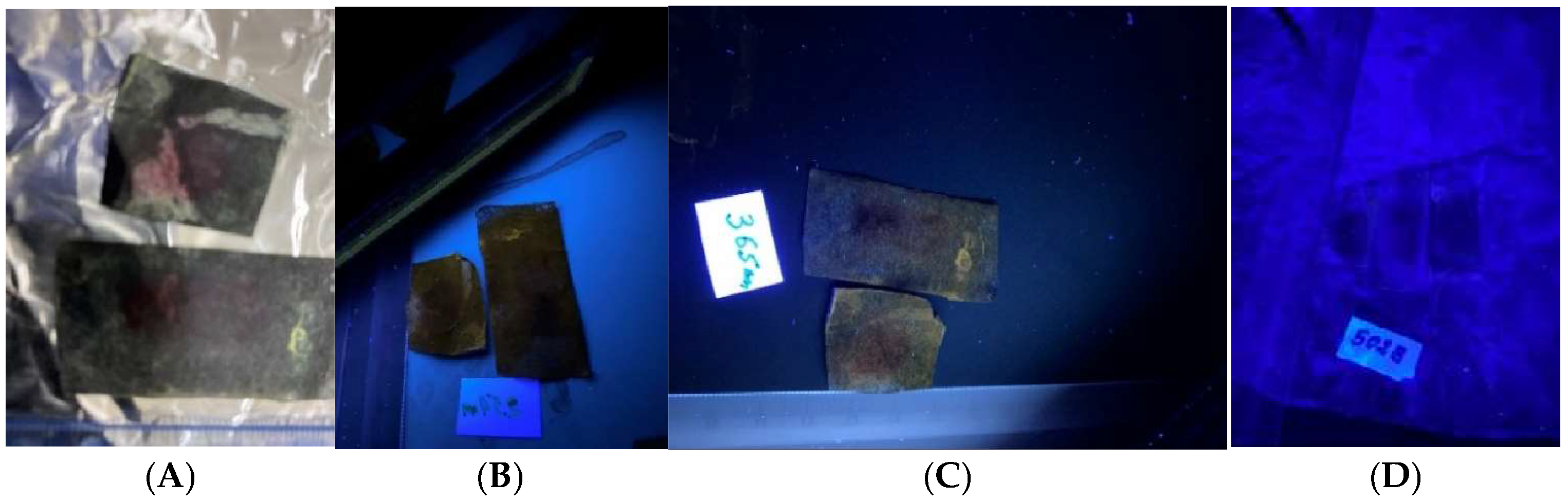 Forensicsci 05 00014 g003