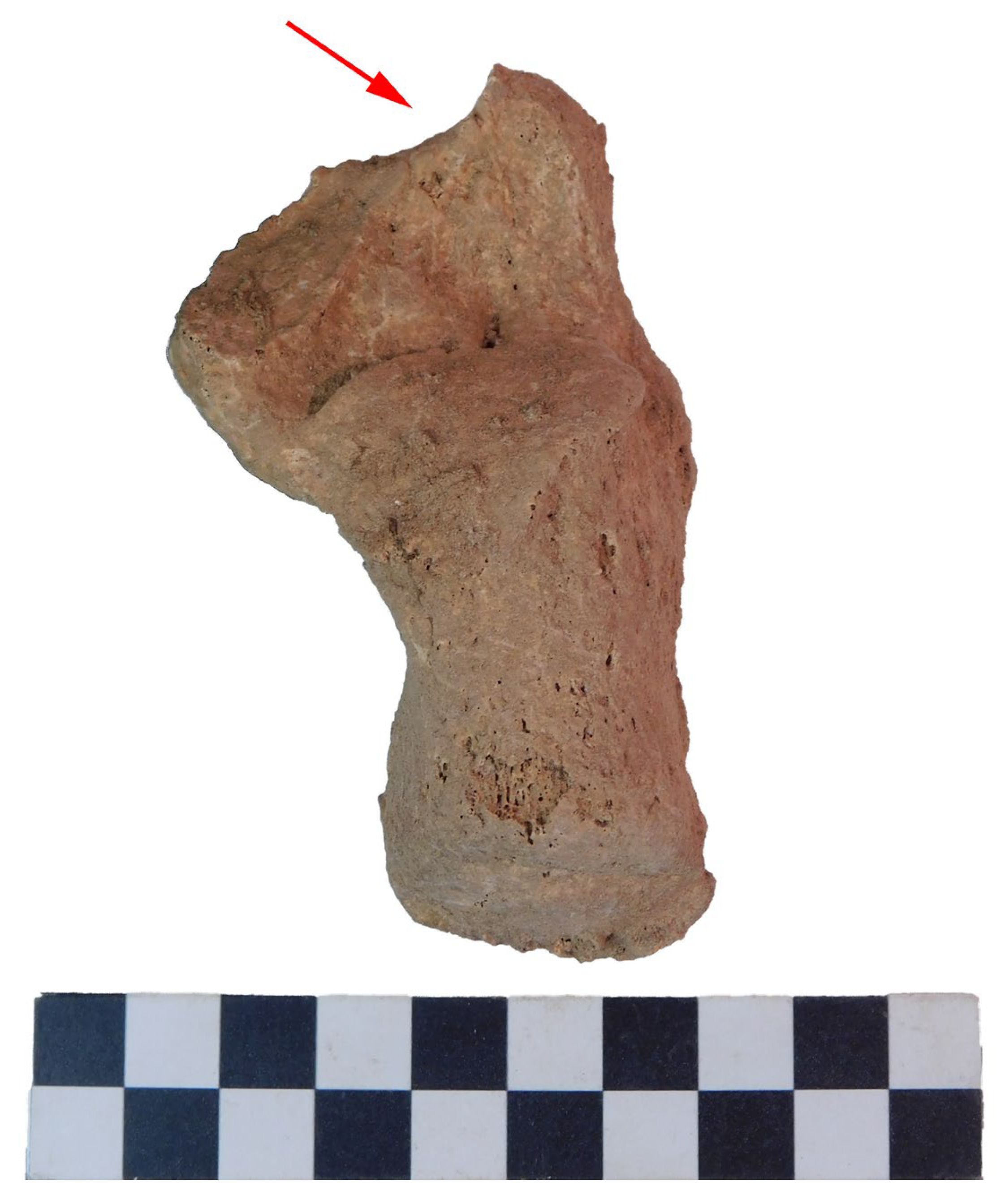 Forensicsci 05 00025 g003