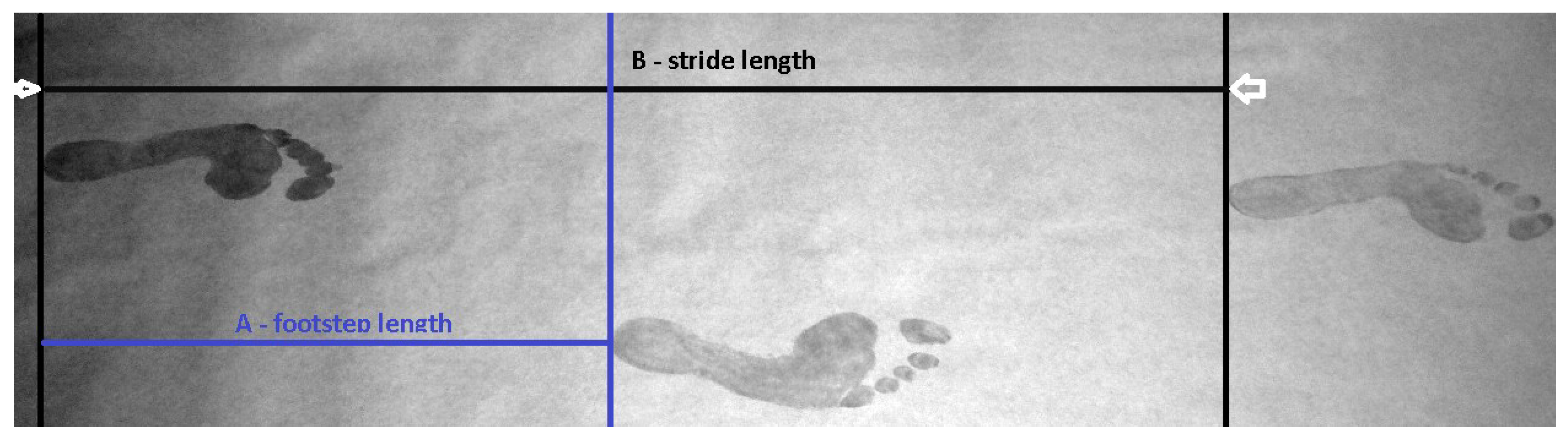 Forensicsci 05 00029 g001