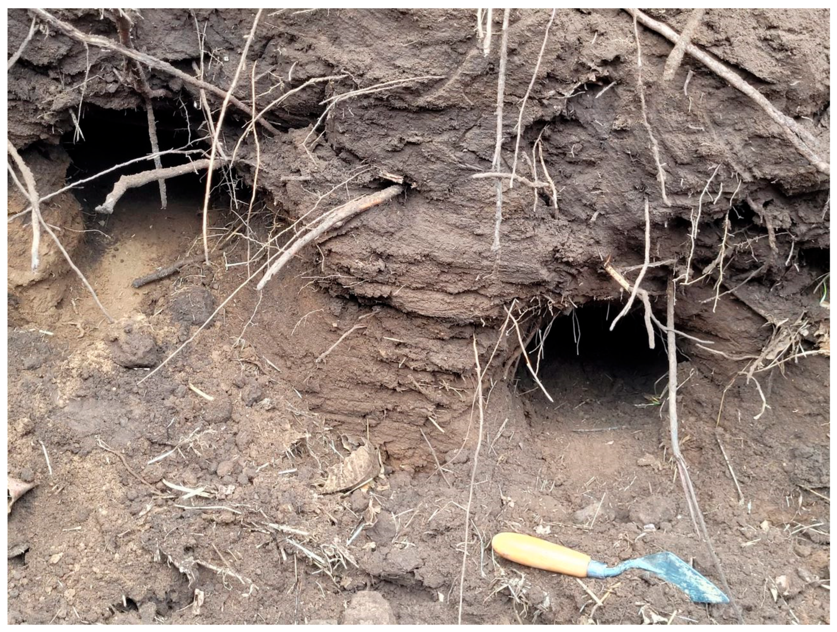 Forensicsci 05 00034 g005