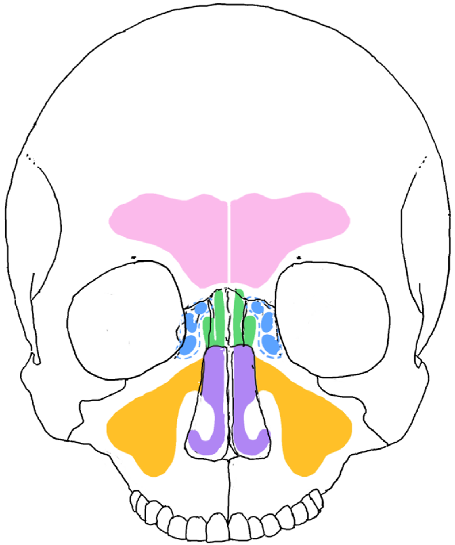 Forensicsci 05 00035 g001