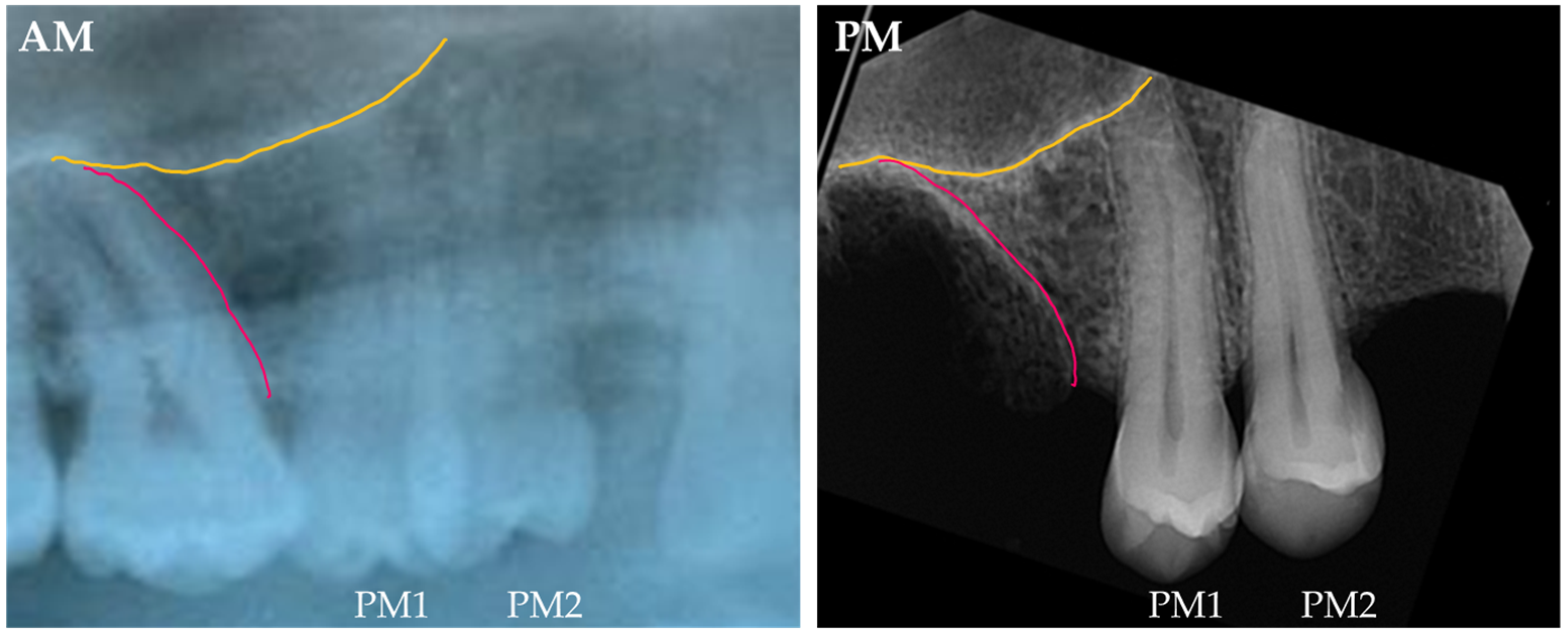 Forensicsci 05 00035 g002