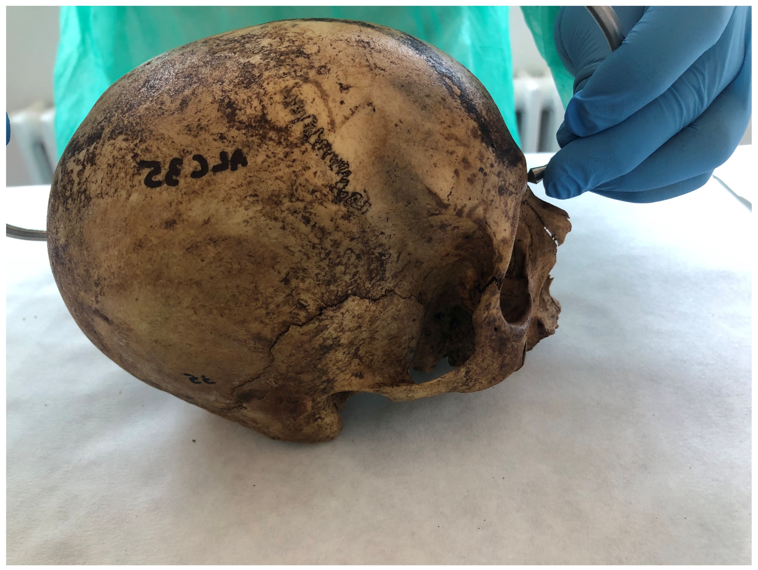 Forensicsci 05 00037 g002