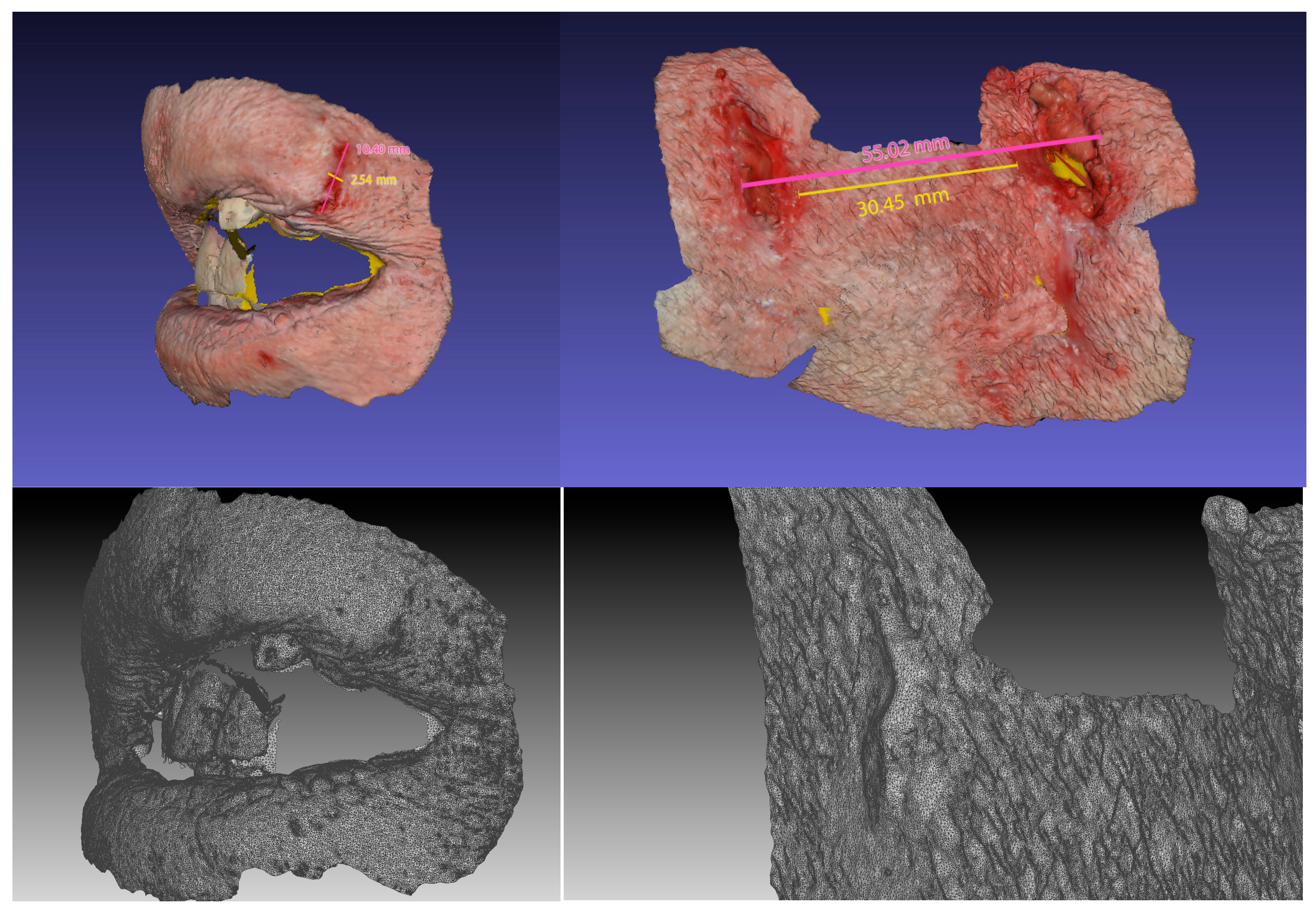 Forensicsci 05 00039 g002