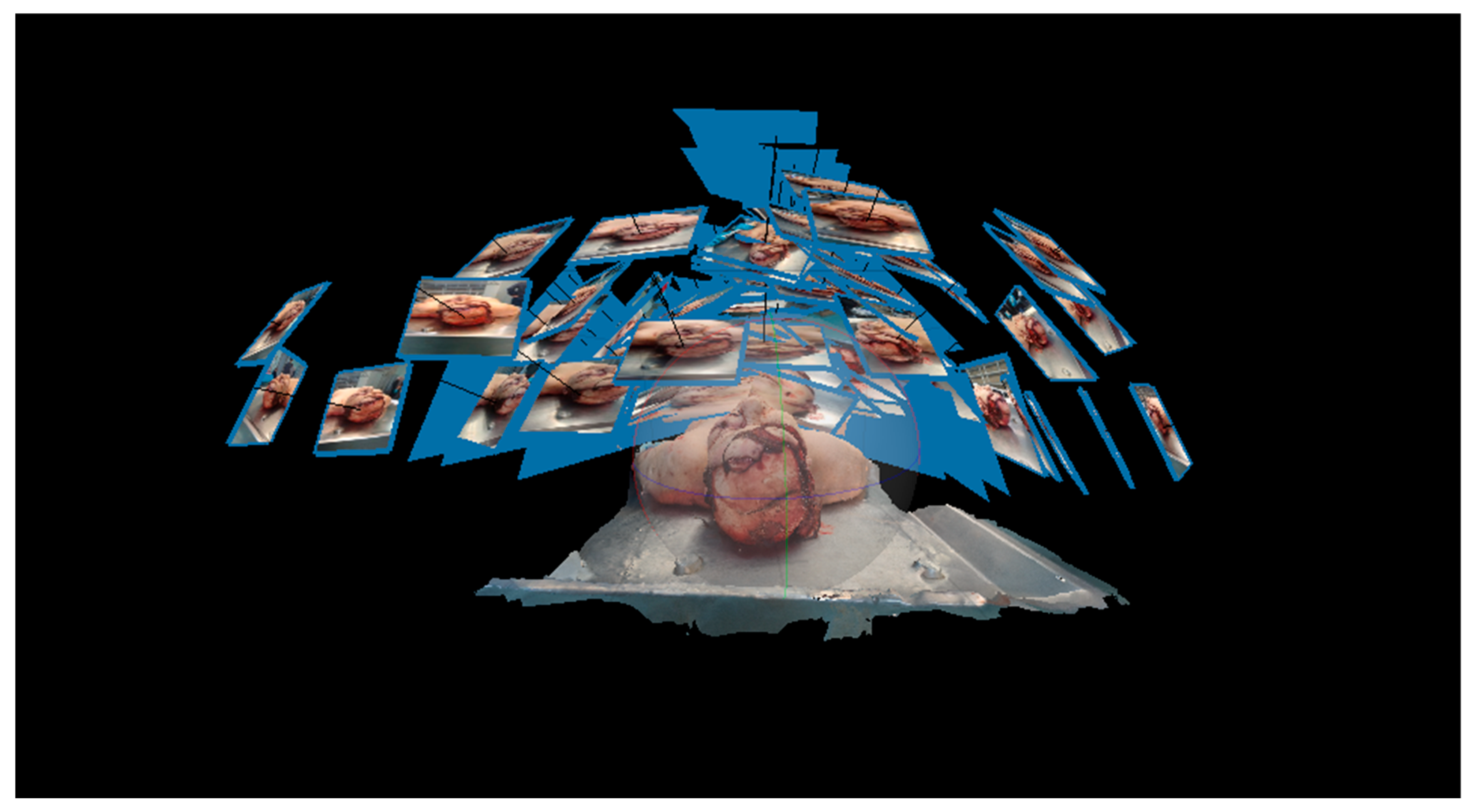 Forensicsci 05 00039 g003