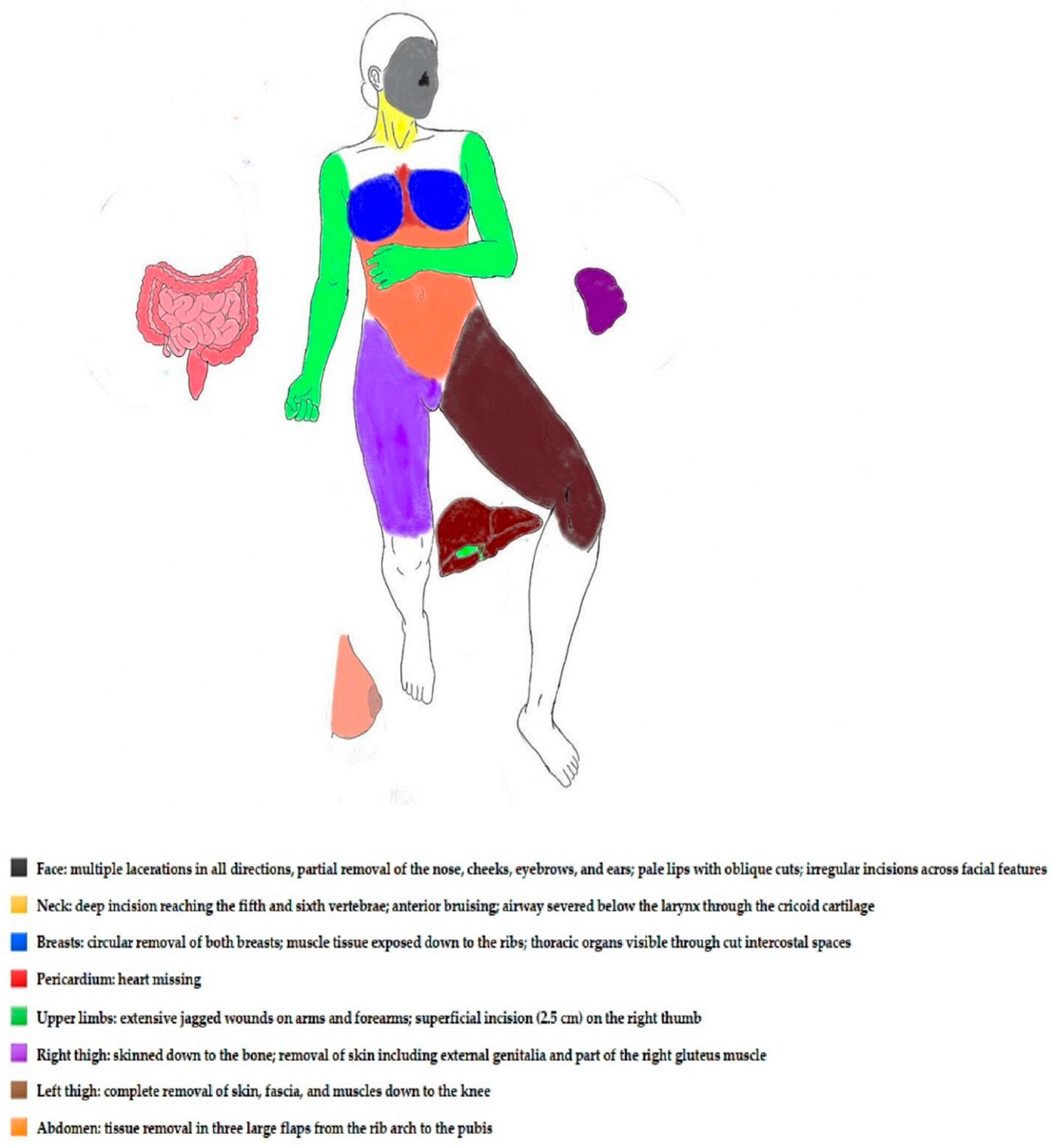 Forensicsci 05 00055 g002