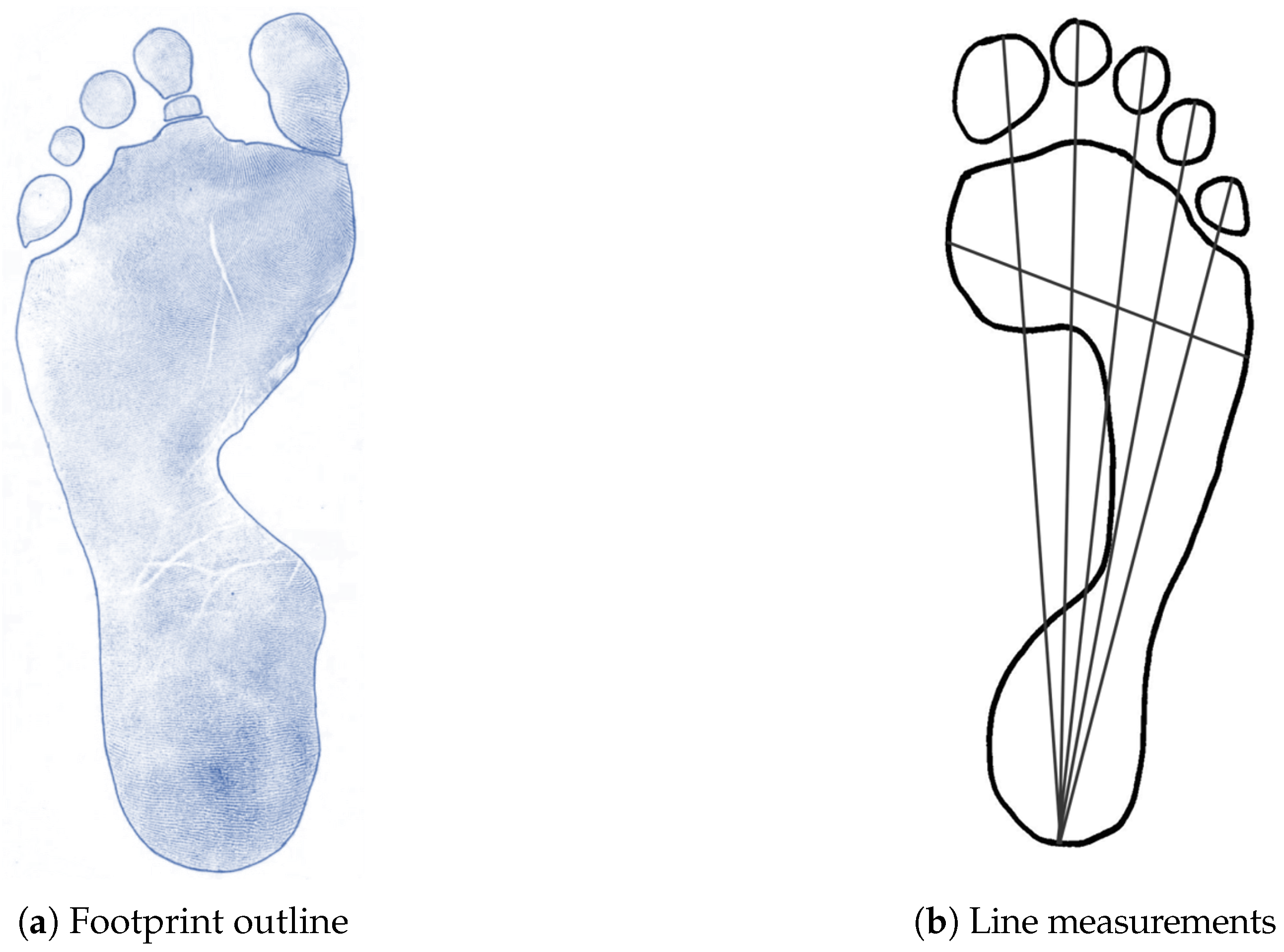 Forensicsci 05 00056 g002 Forensicsci 05 00056 g002